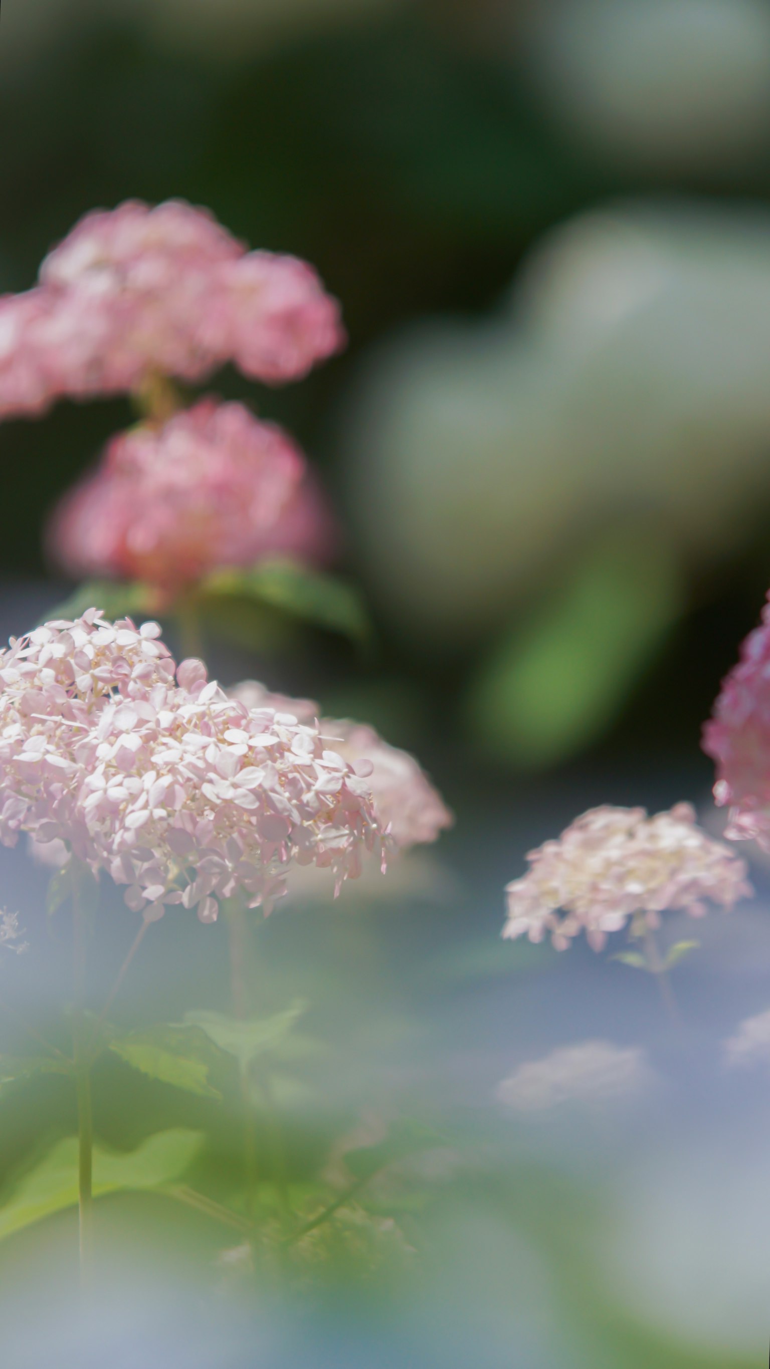 photo-dewo8q9Bjcj9CnrRzpxg-image