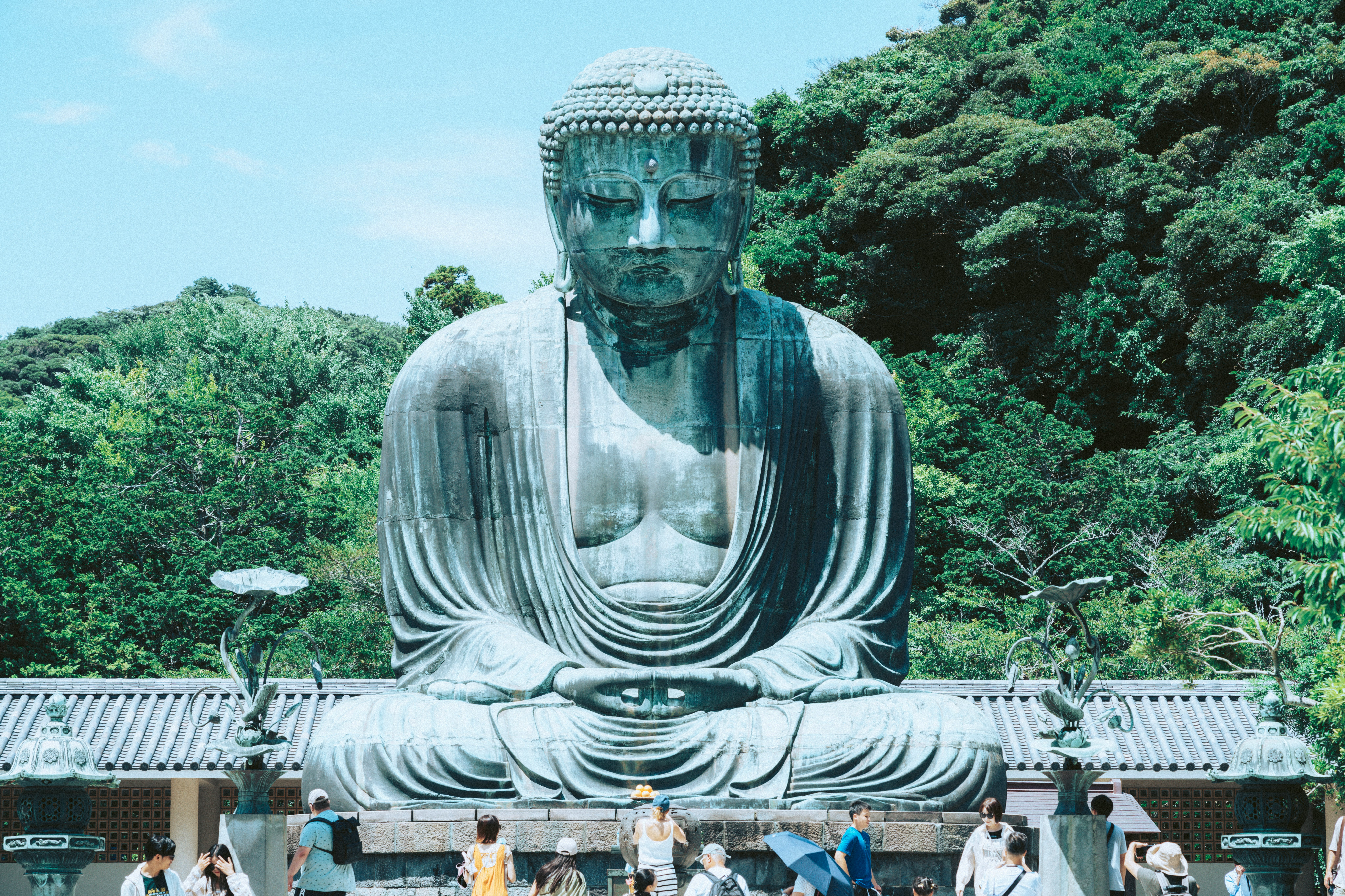 vue extérieure d’une grande statue de Bouddha entourée de verdure