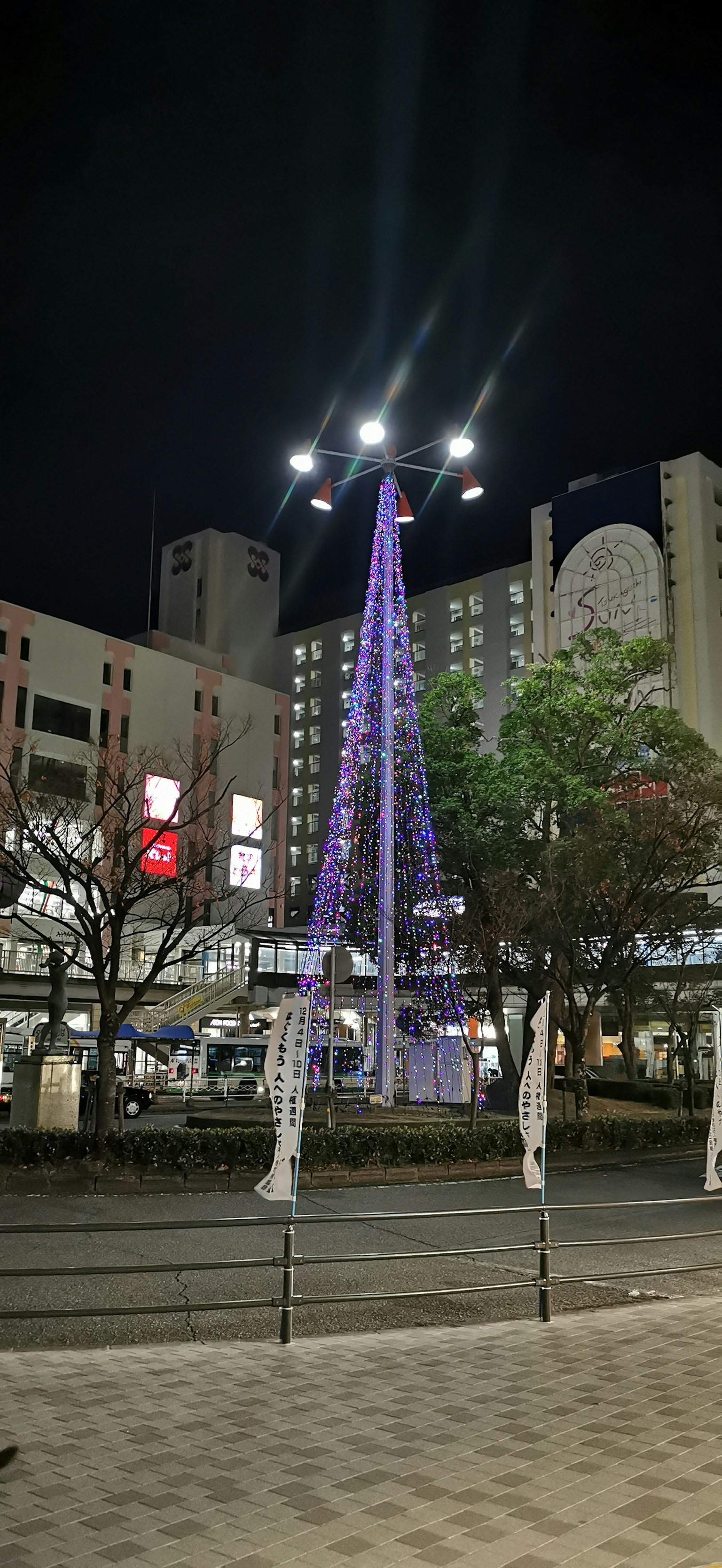 夜晚照亮的紫色圣诞树和周围建筑