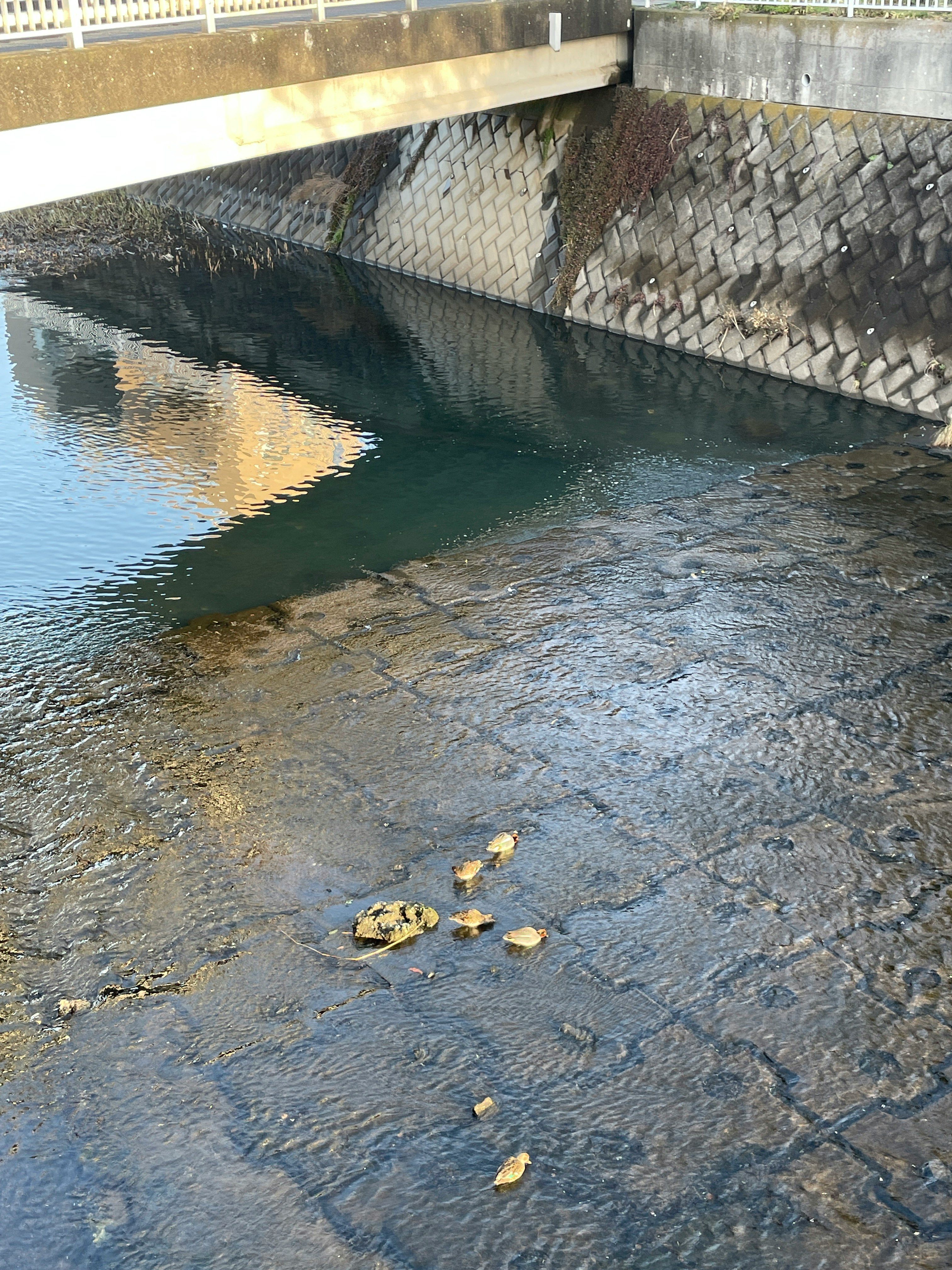 石畳の水路とコンクリートの護岸、流れる水のある景観