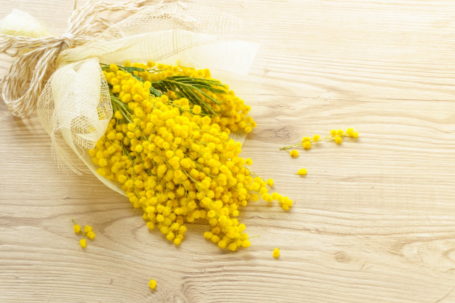 Un bouquet di fiori di mimosa gialli su un tavolo di legno