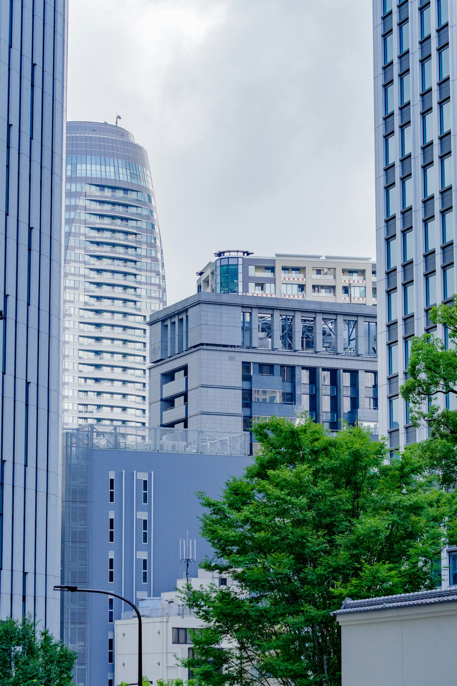 城市风景，包含摩天大楼和绿色树木