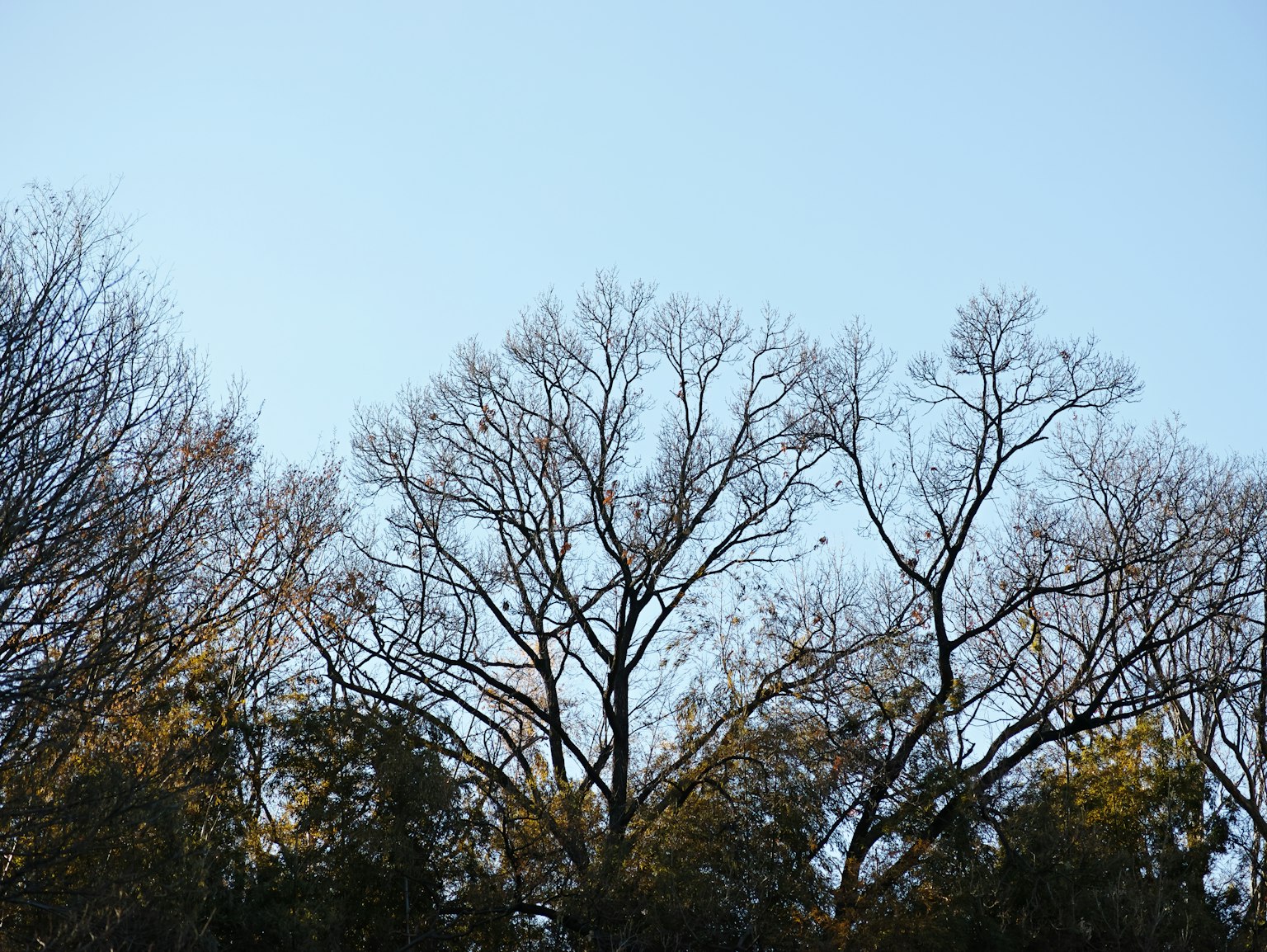 photo-dgTmbZxA2NK6u4CrKNQ9-image