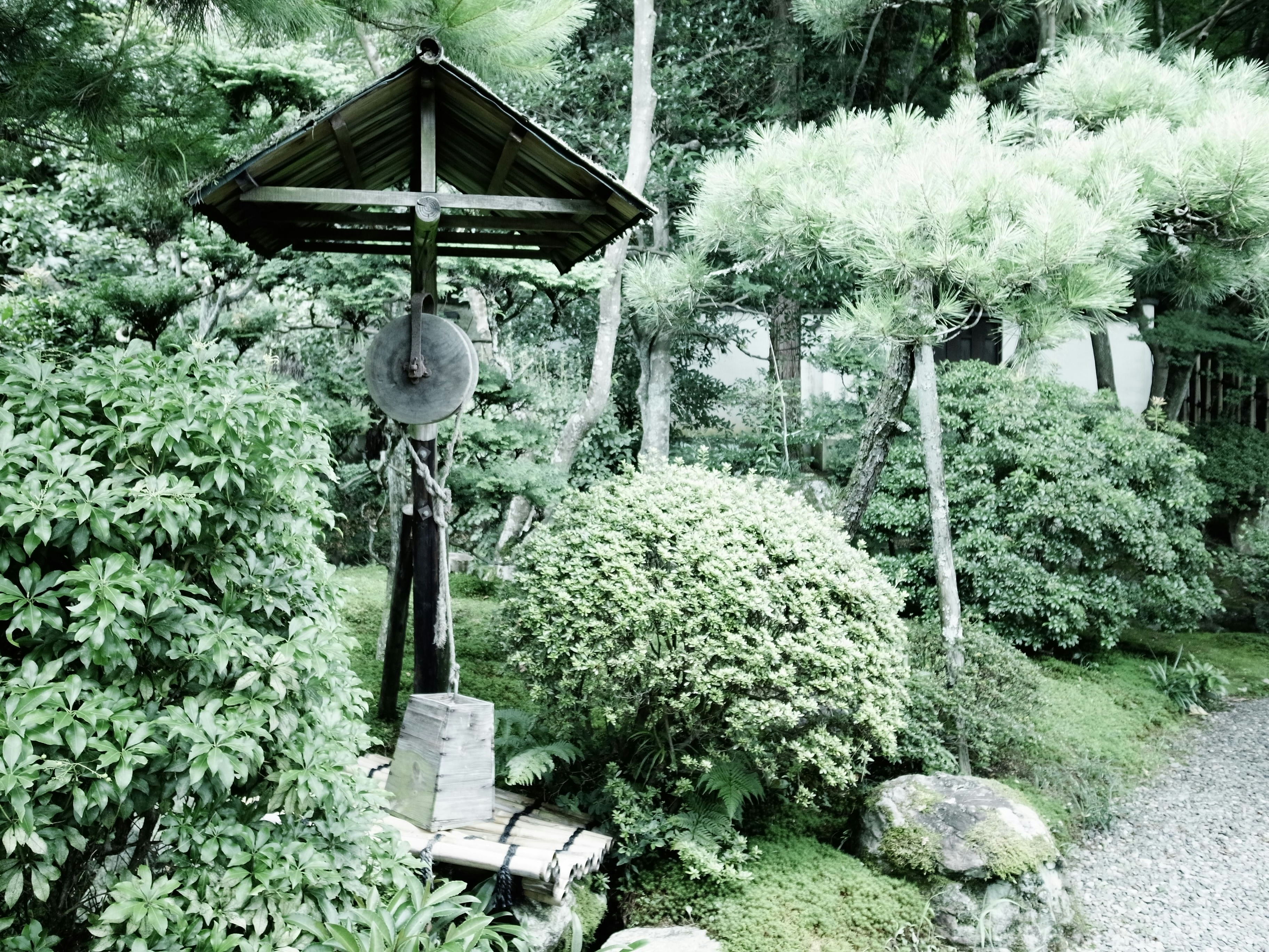 mossy garden path with stone lanterns and a water basin