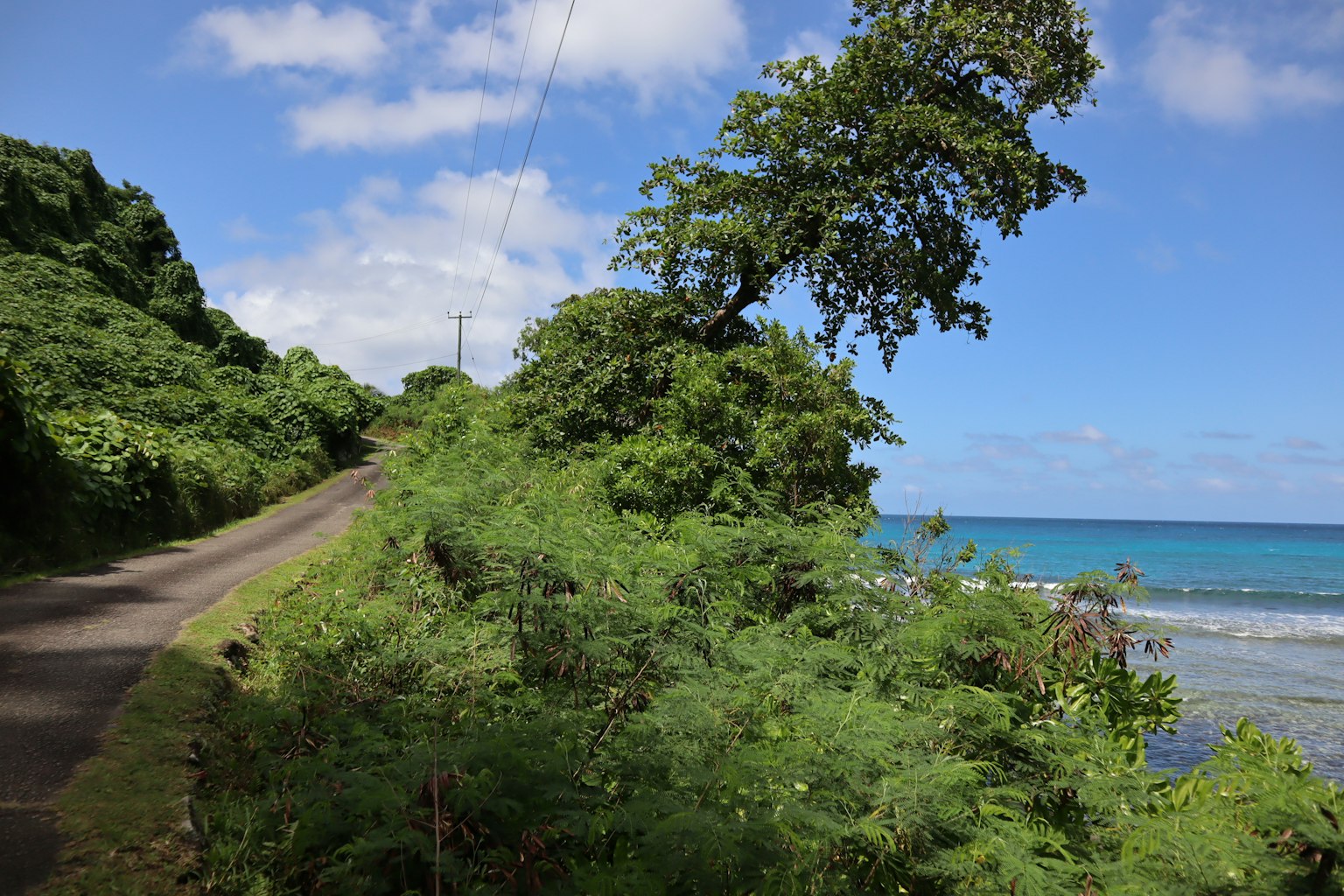 風景如畫的海岸公路與郁郁蔥蔥的植被和藍色海洋