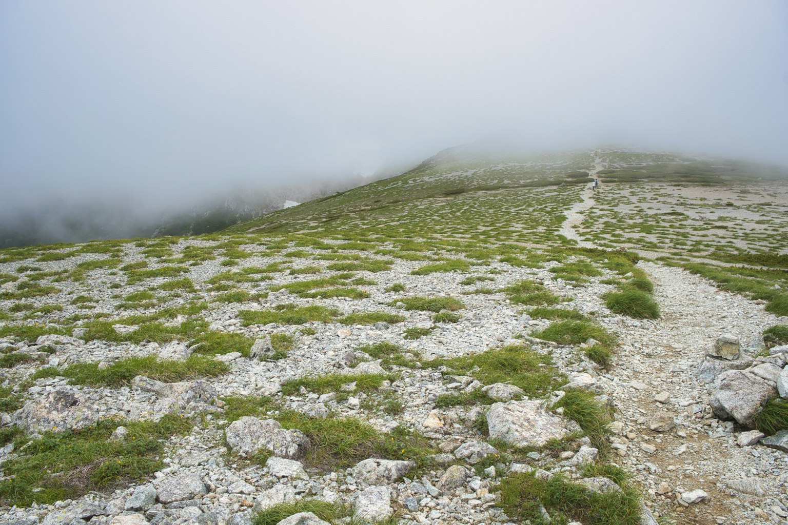 Paisaje montañoso brumoso con hierba verde y piedras esparcidas en un sendero