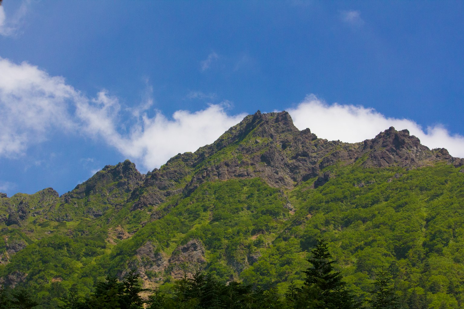 绿色山脉在蓝天之下的风景
