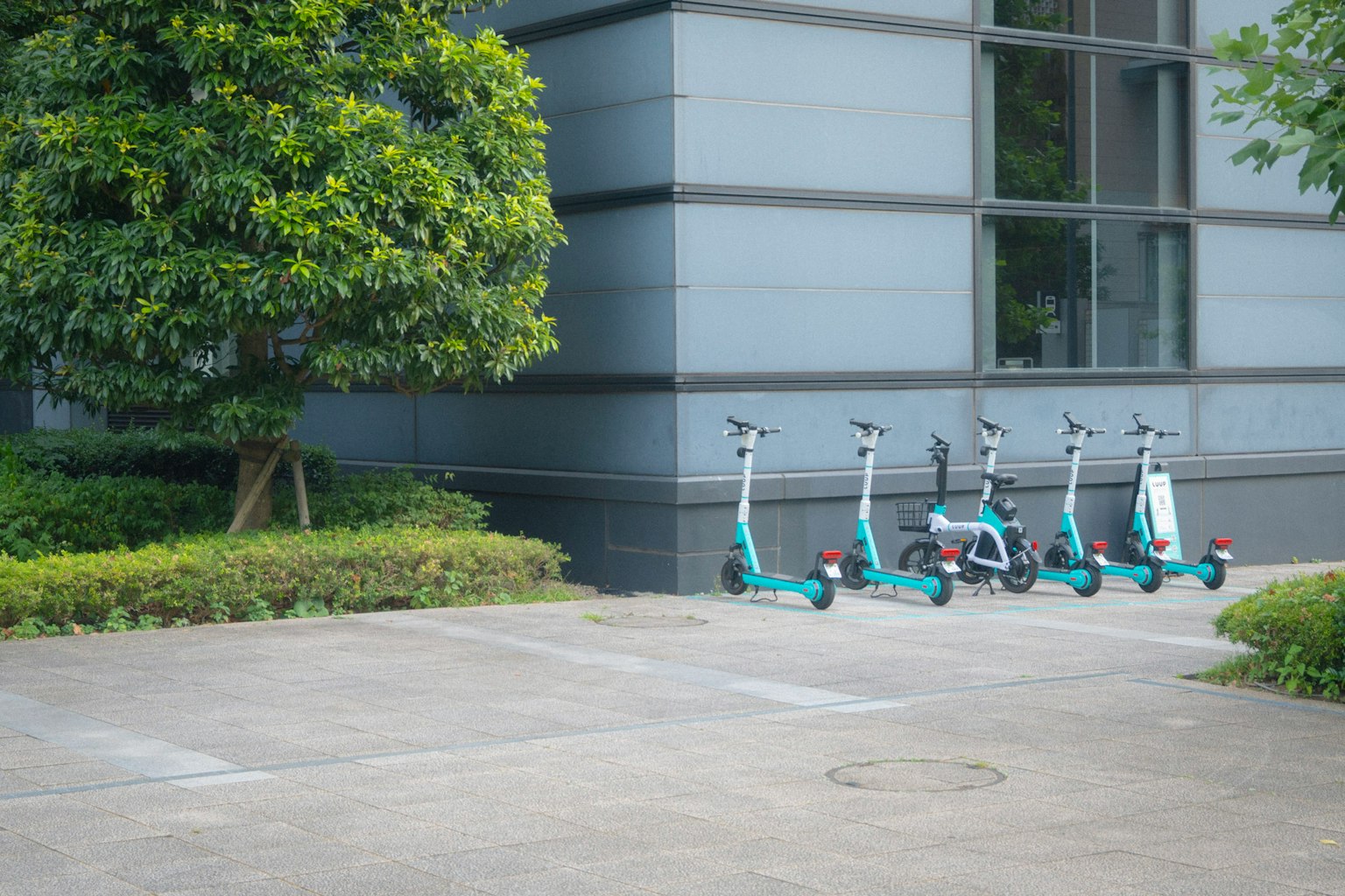 Trottinettes électriques alignées près d'un arbre vert et d'un bâtiment moderne