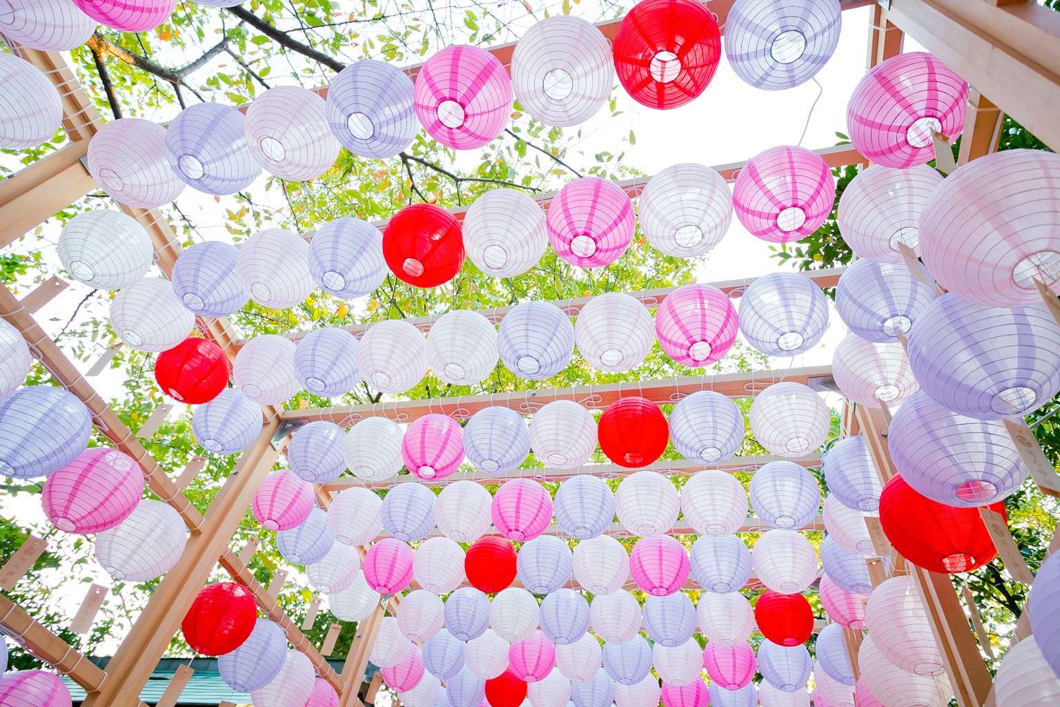 Đèn lồng đầy màu sắc treo trong trang trí ngoài trời