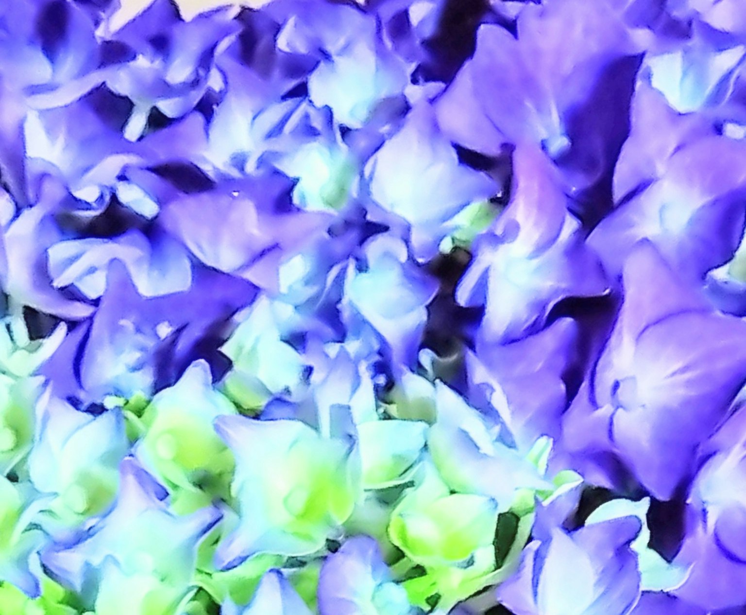 Pétalos de flores violetas y verdes vibrantes superpuestos en un hermoso primer plano