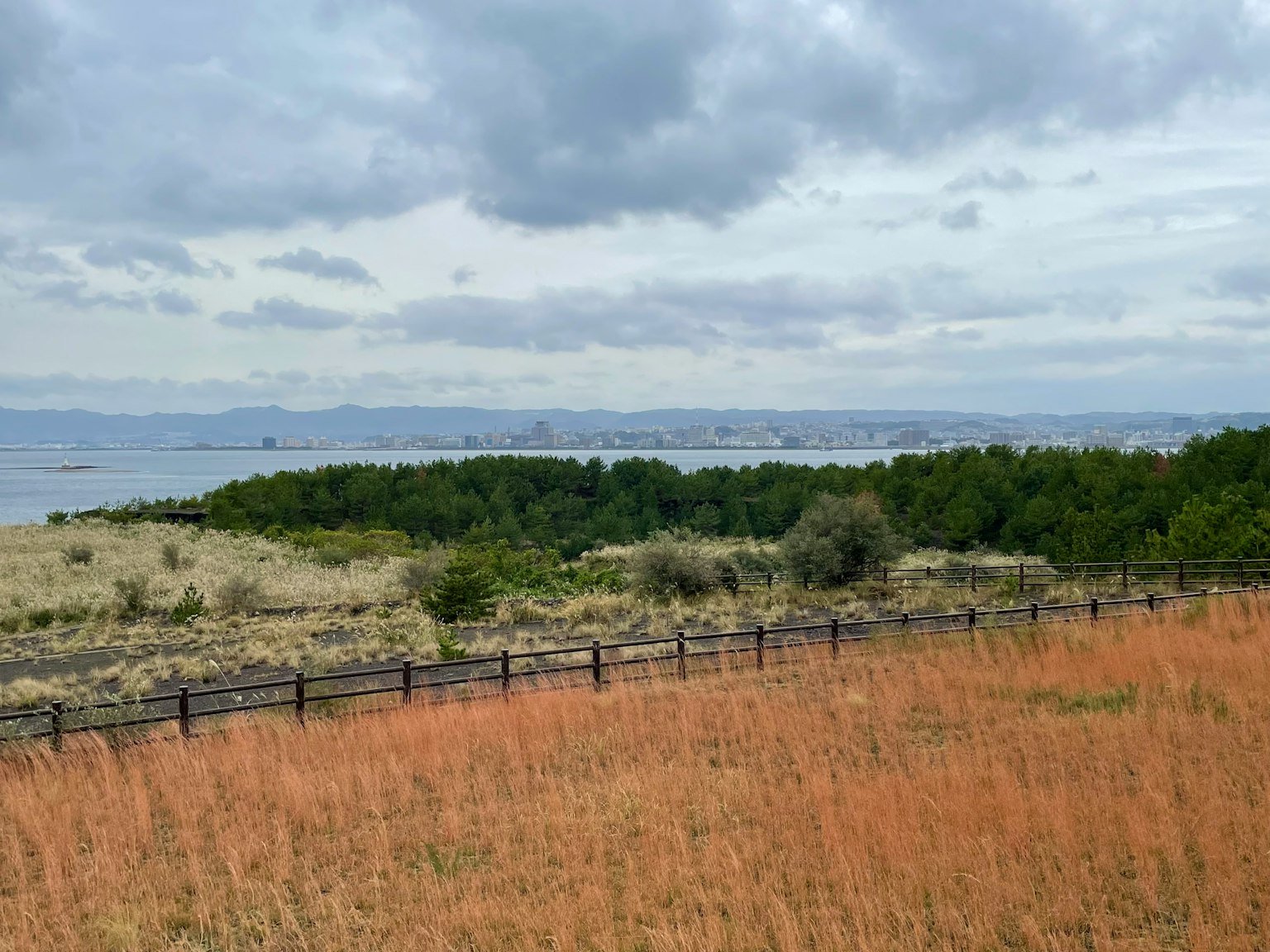Ampio paesaggio con erba e alberi con vista lontana sul mare