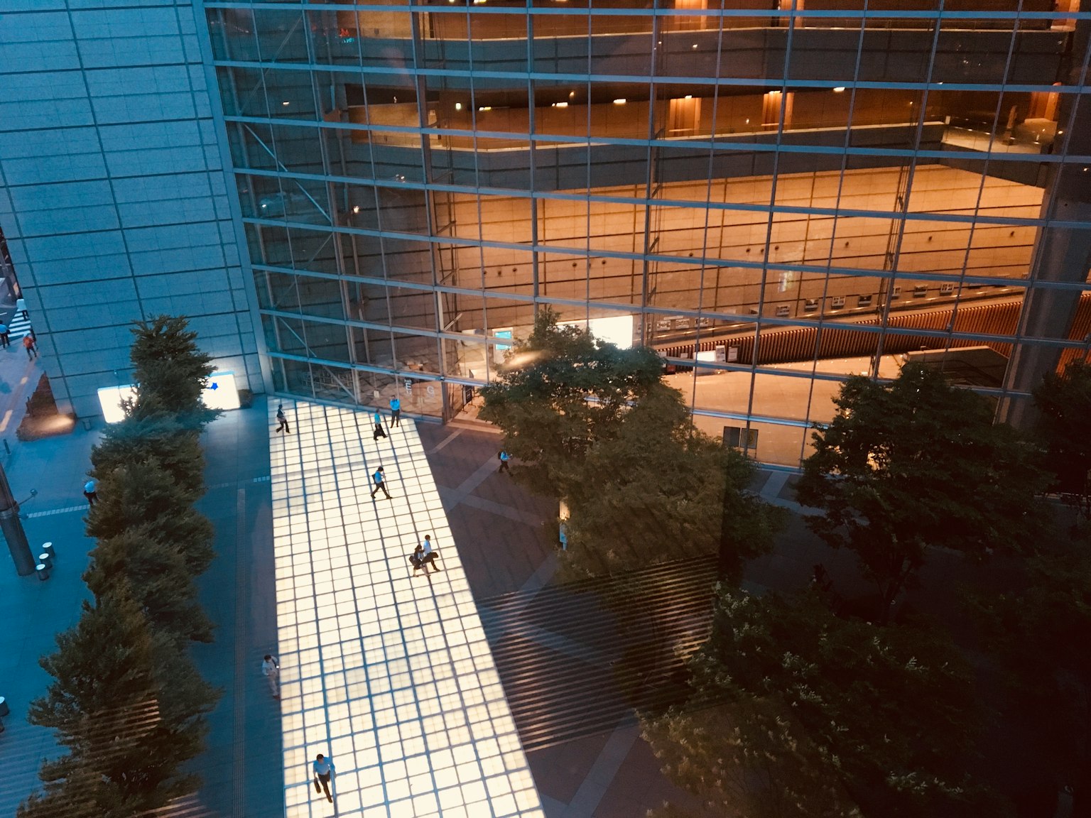 Vista nocturna de un edificio moderno con fachada de vidrio y pasarela iluminada
