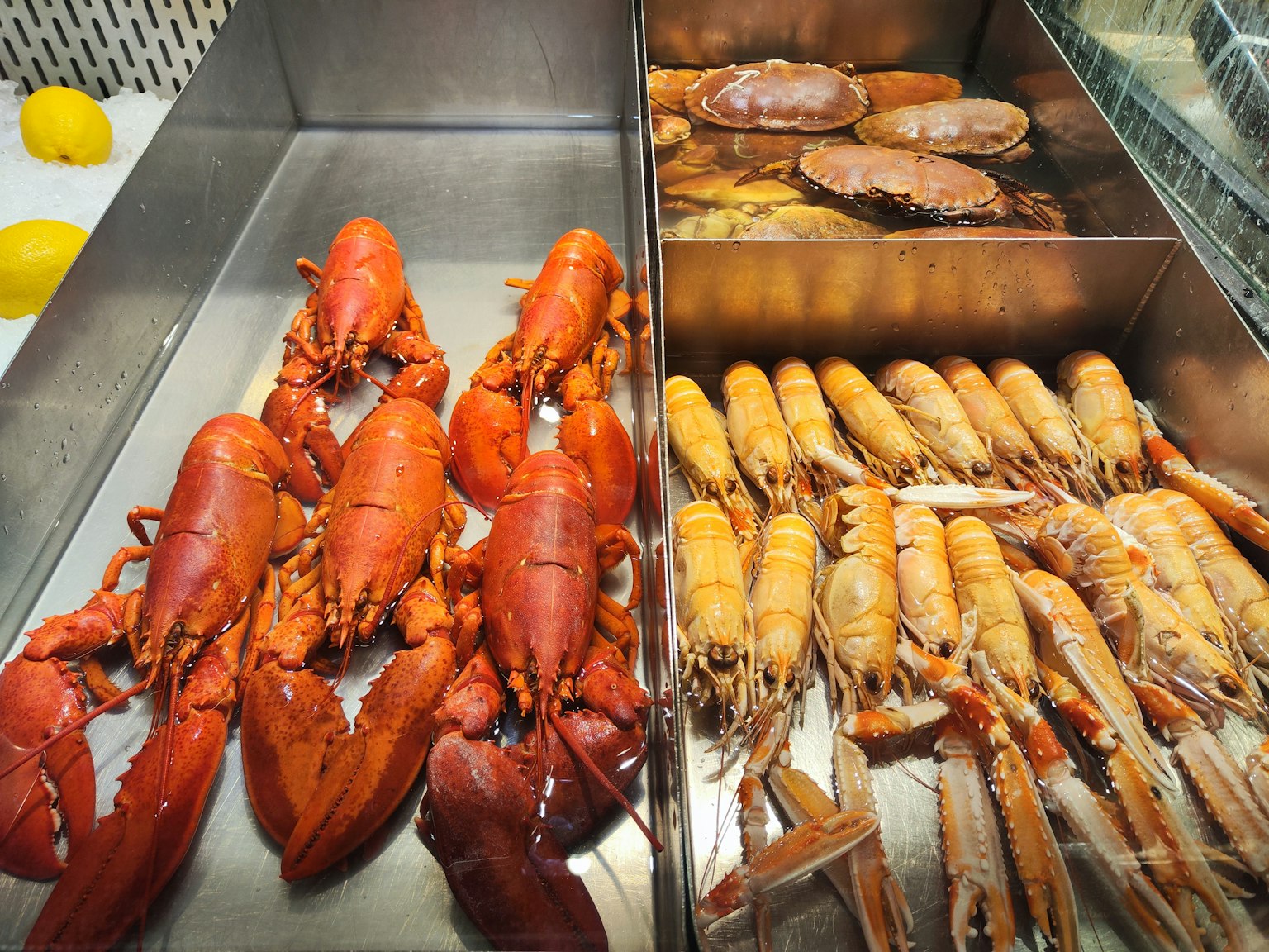 Vibrant red lobsters and creamy colored shrimp displayed in a seafood showcase