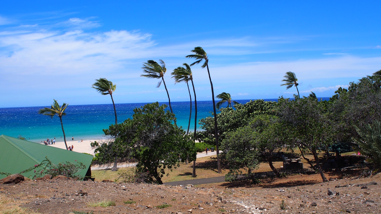 Scena di spiaggia con palme ondeggianti e oceano blu chiaro