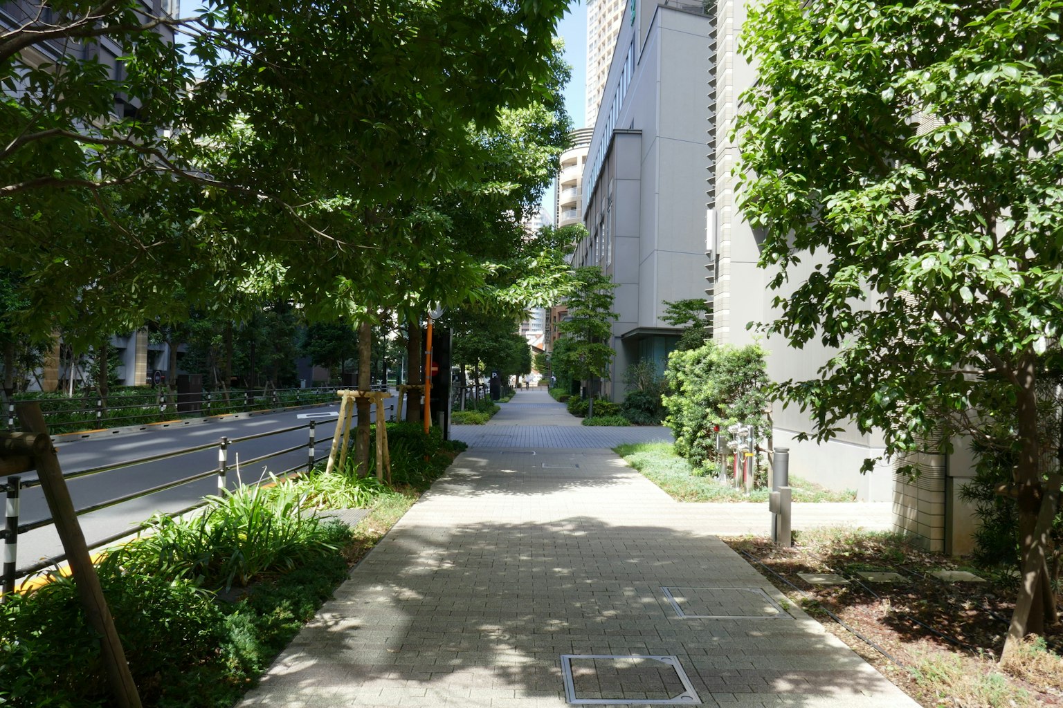 A quiet sidewalk surrounded by green trees and a nearby road