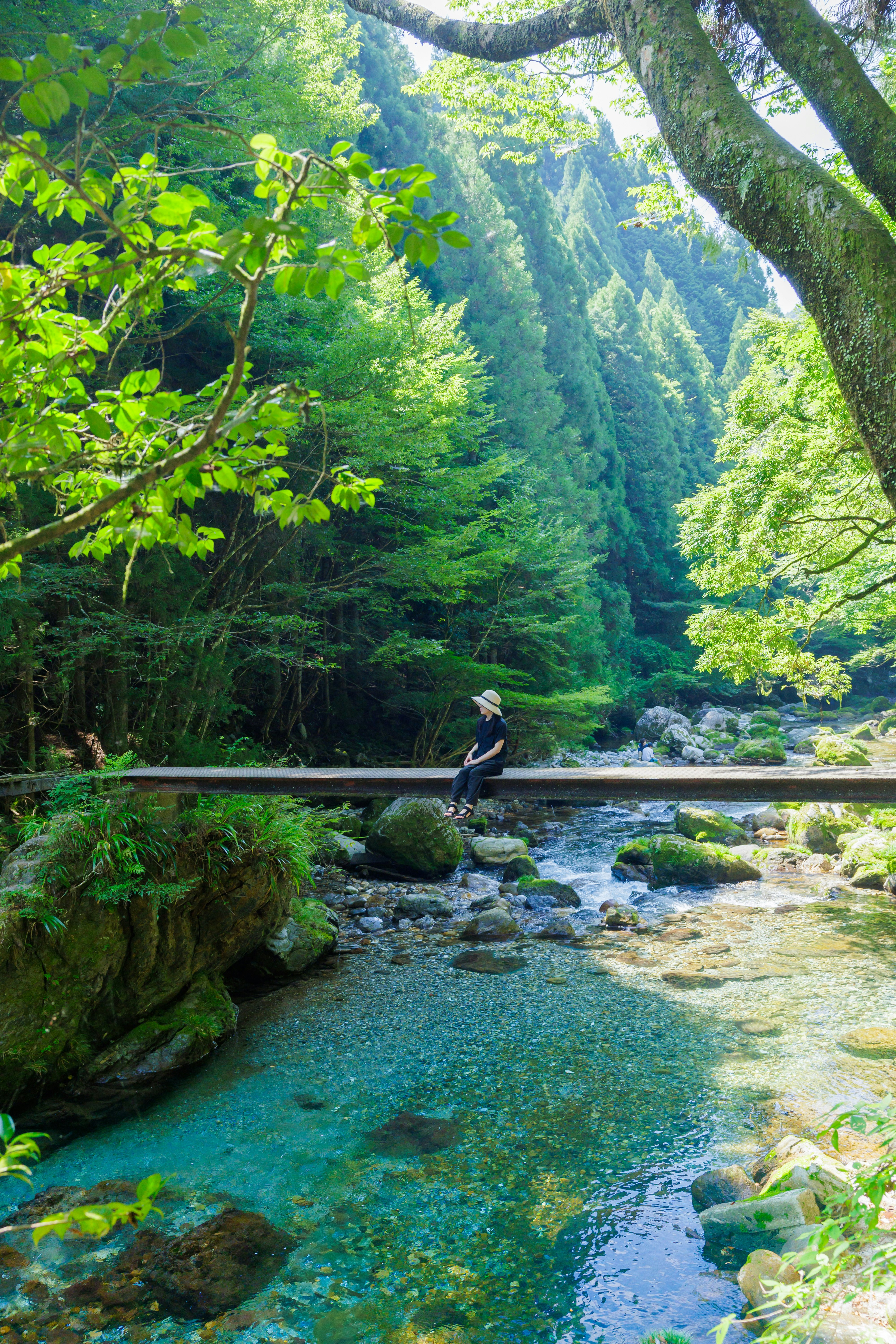 escena natural con un pequeño puente sobre un arroyo de montaña y árboles exuberantes