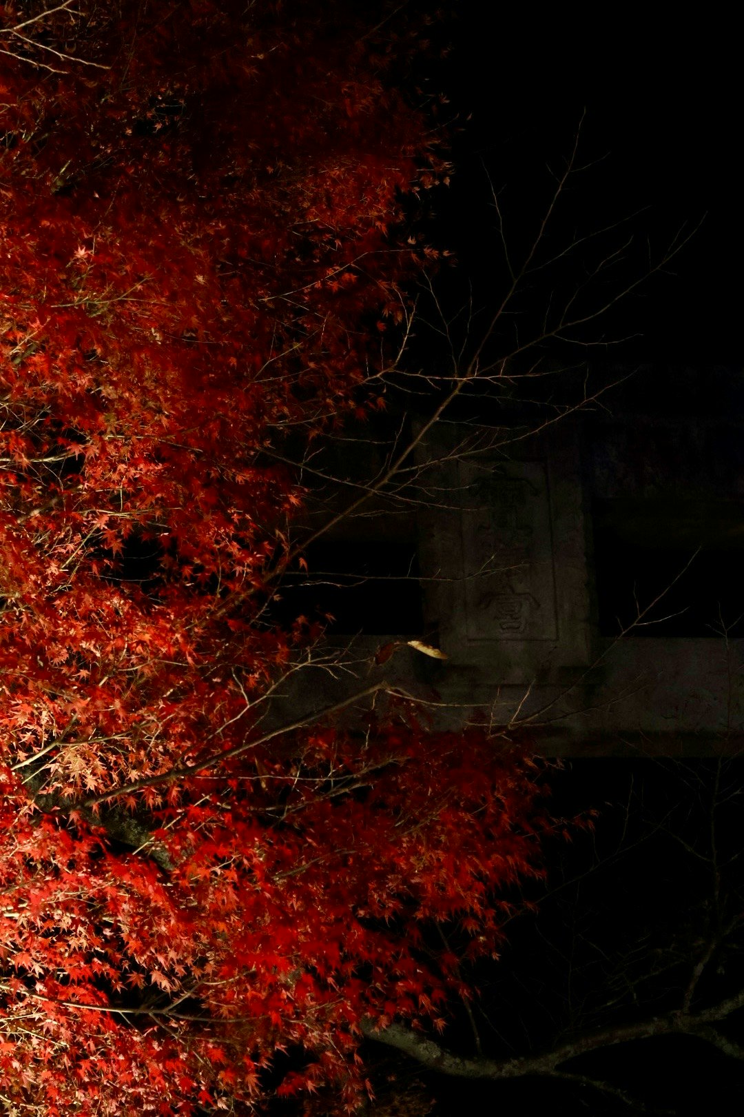 photo-dkdF7w9b9A0JrQy7apWs-image