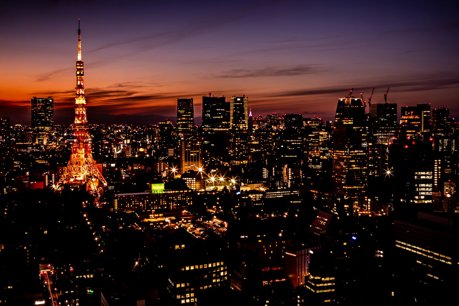 Cảnh đêm đẹp của Tokyo với Tháp Tokyo