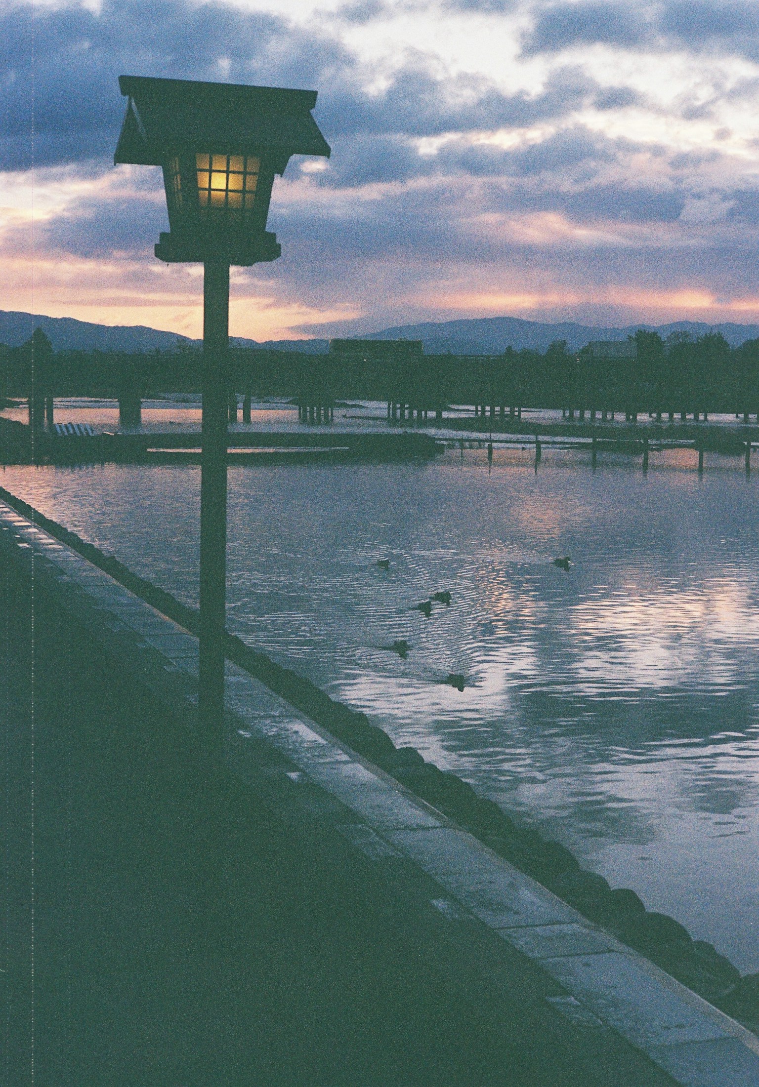 photo-dl8NT0h7Zflu1Aqq4JJT-image