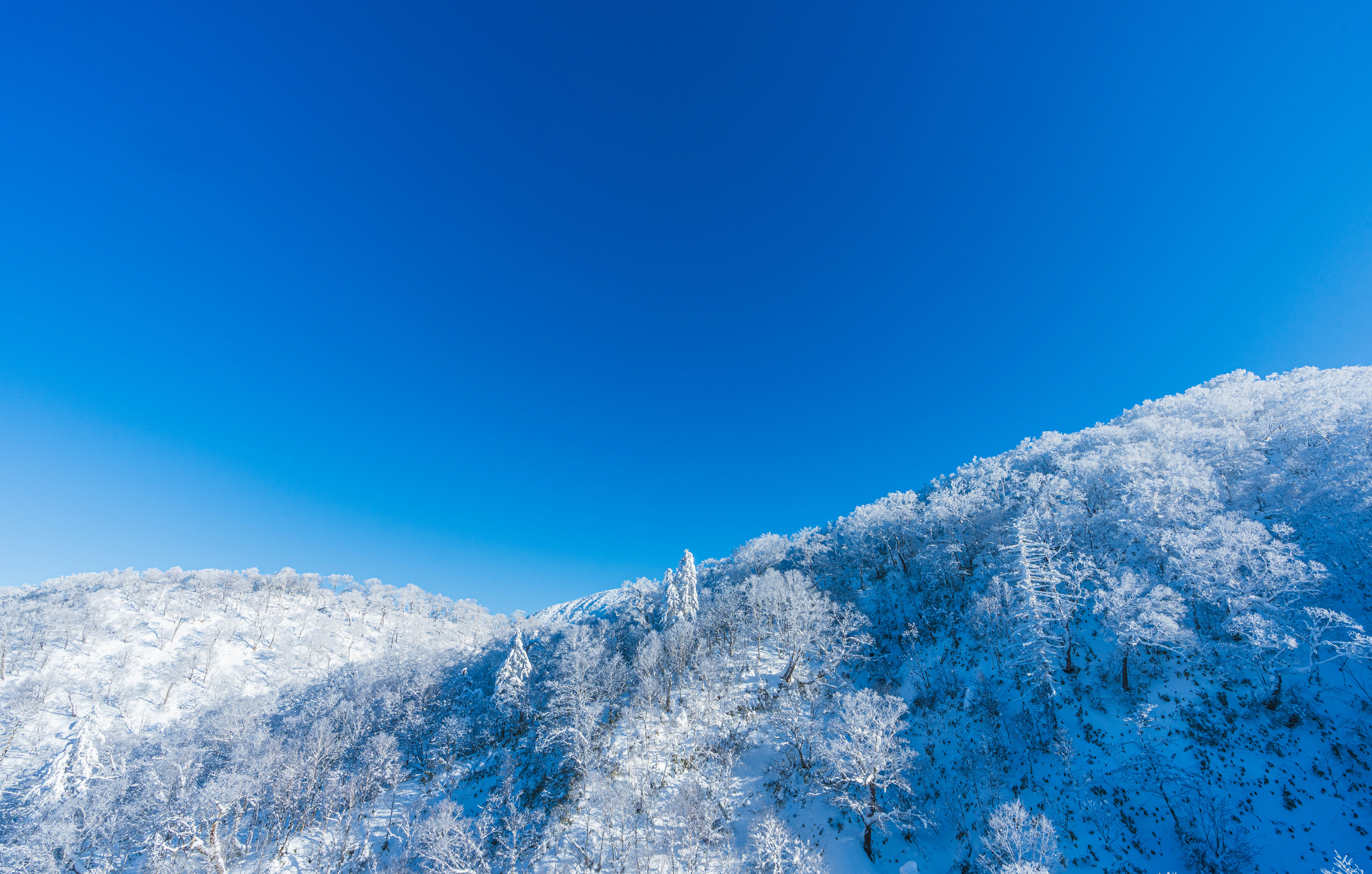 chaîne de montagnes enneigées sous un ciel bleu dégagé