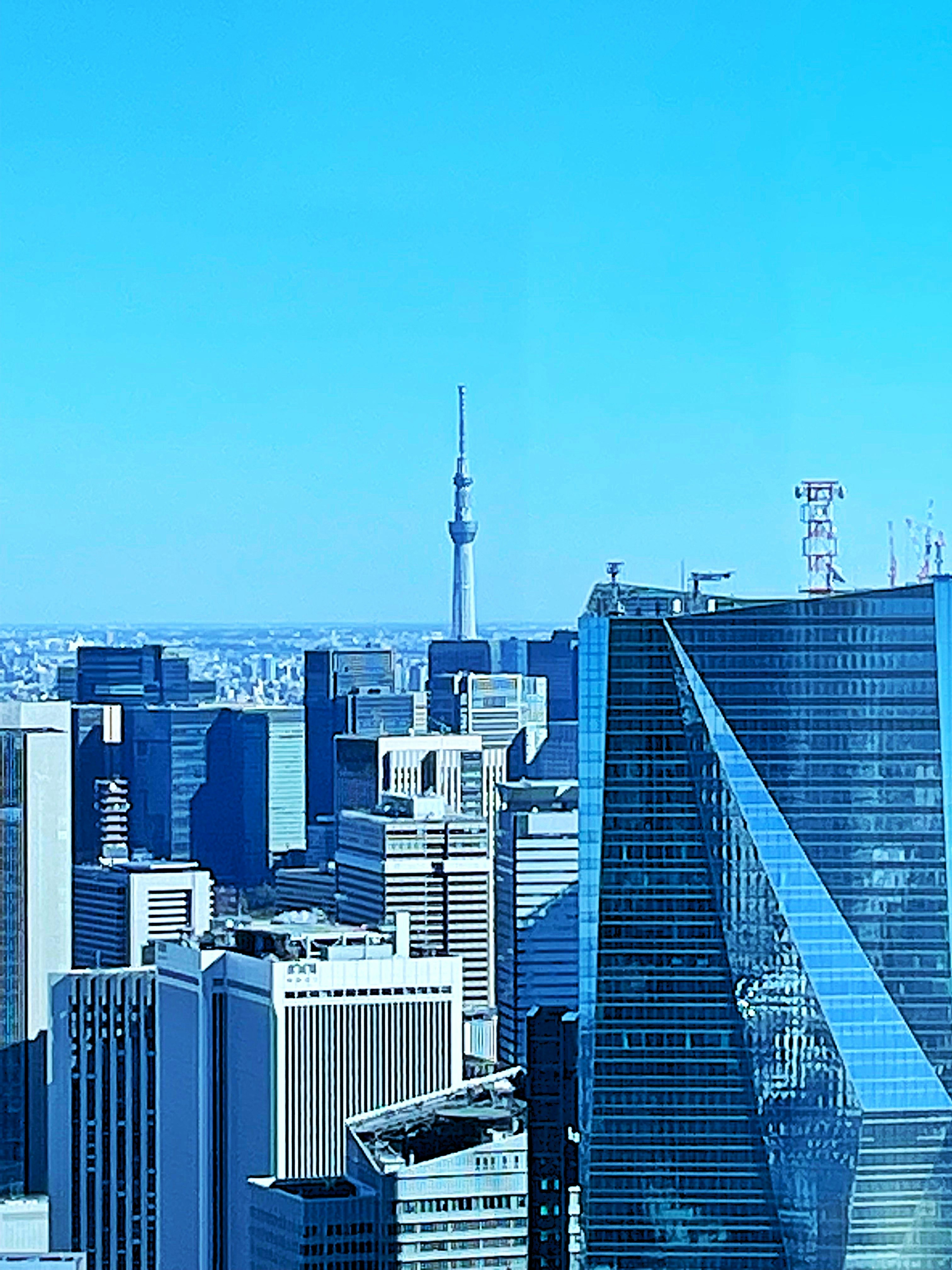 東京の空とスカイツリーが見える高層ビル群の眺望