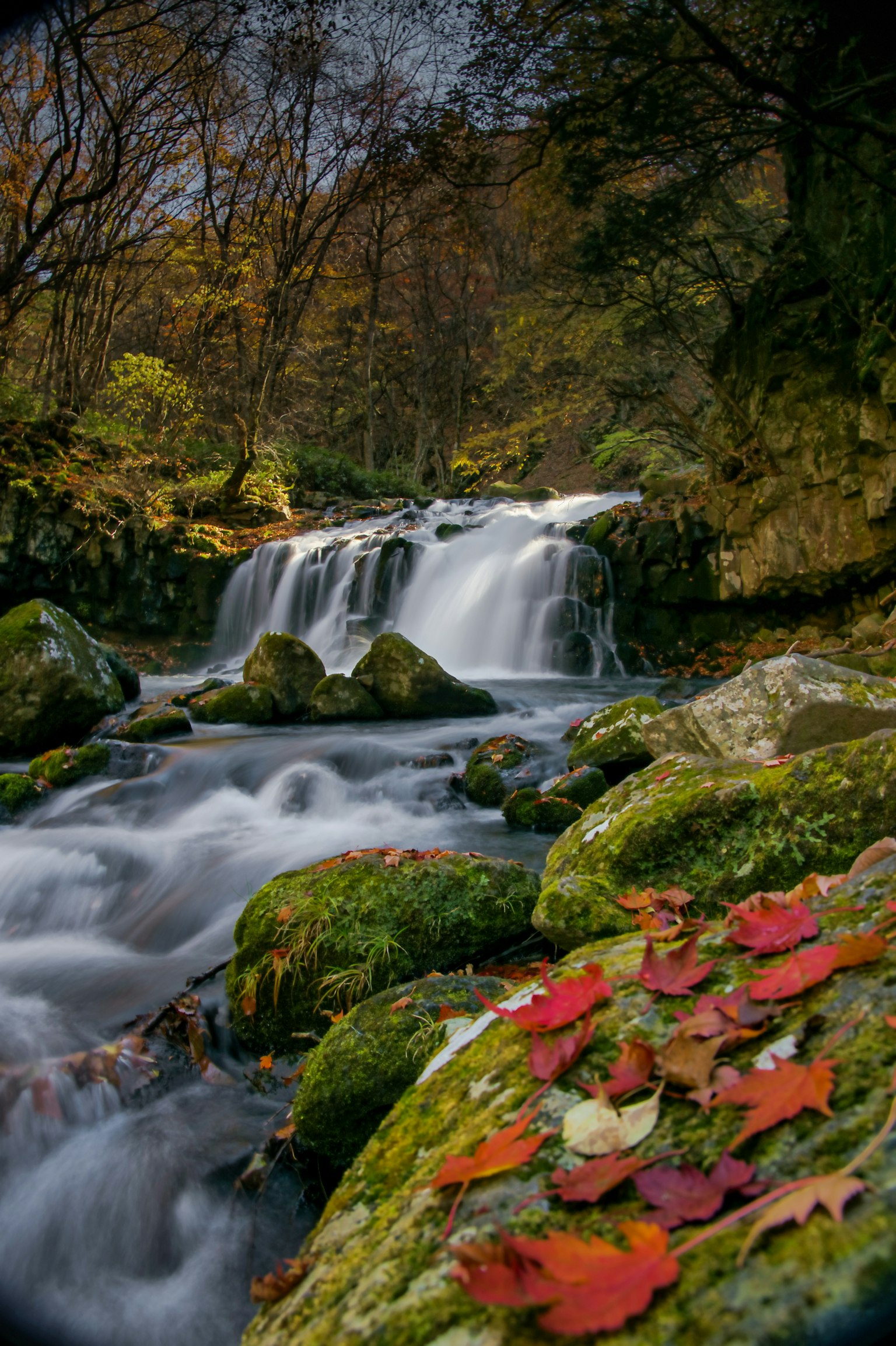 Vista escénica de una cascada con hojas de otoño coloridas