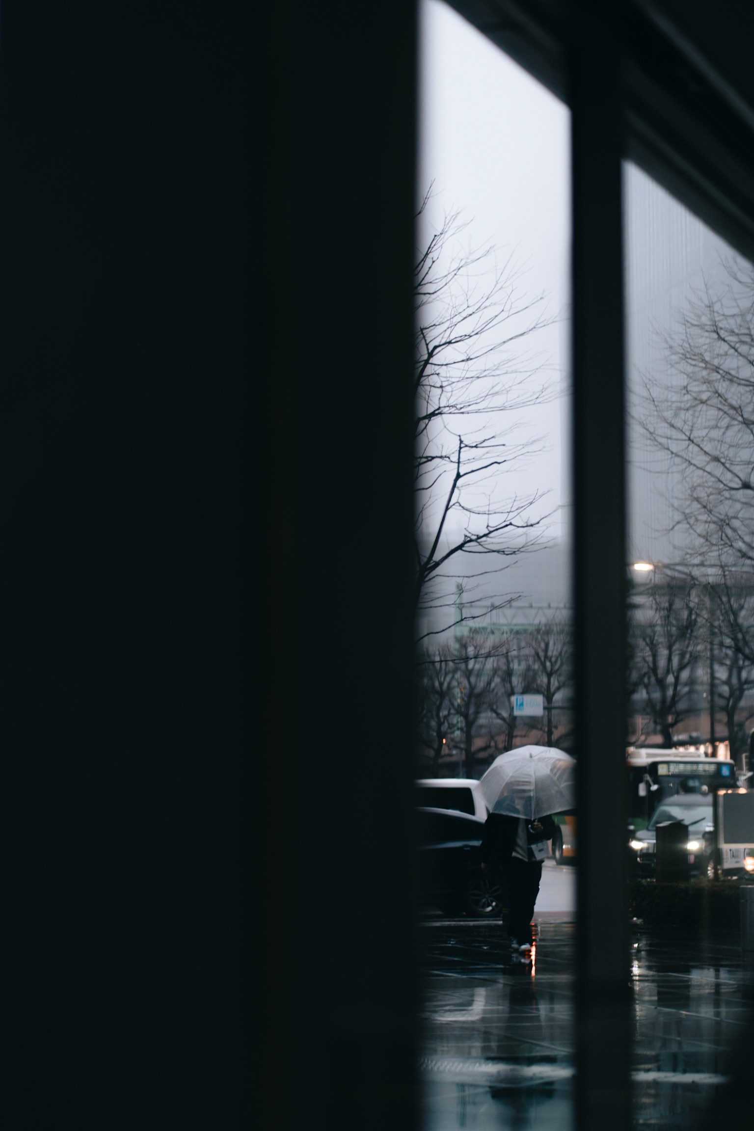 photo-dmY4xmjmafgESYg6W6AX-image