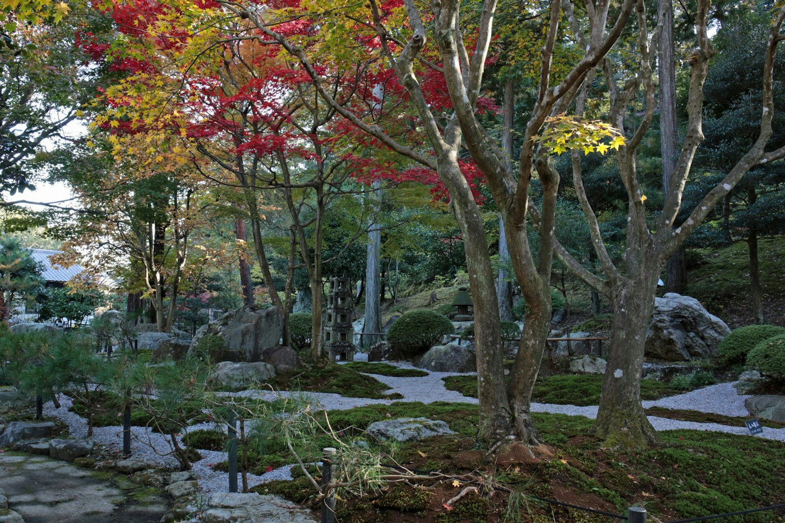 Vista di un giardino scenico con alberi colorati e un sentiero tortuoso