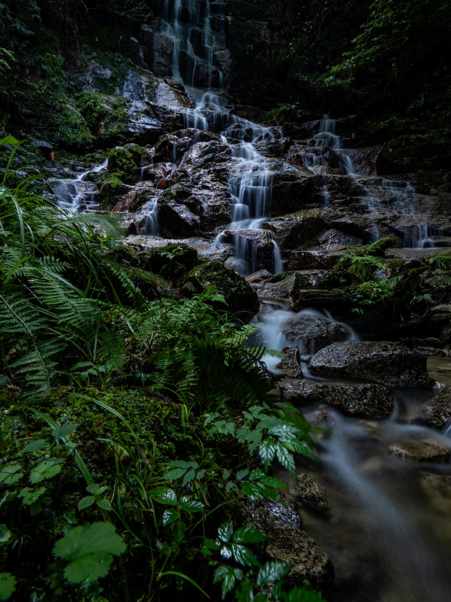 Air terjun tenang mengalir di atas batu dikelilingi oleh vegetasi yang subur