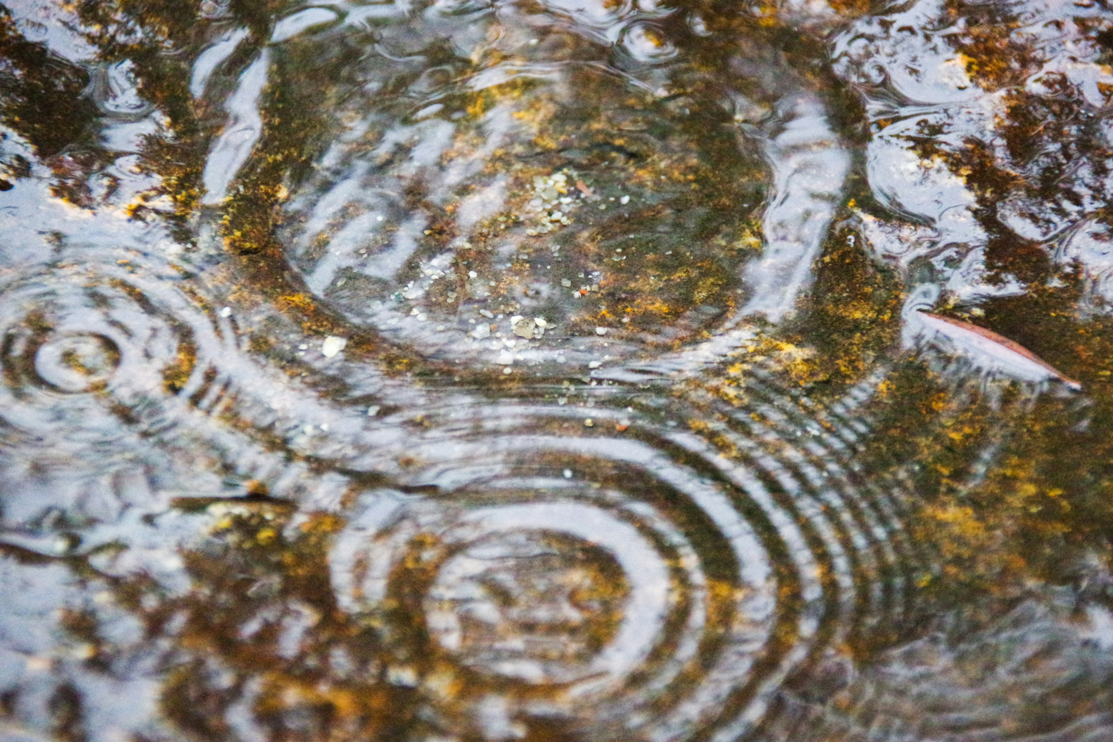 雨水でできた水たまりの渦巻く模様