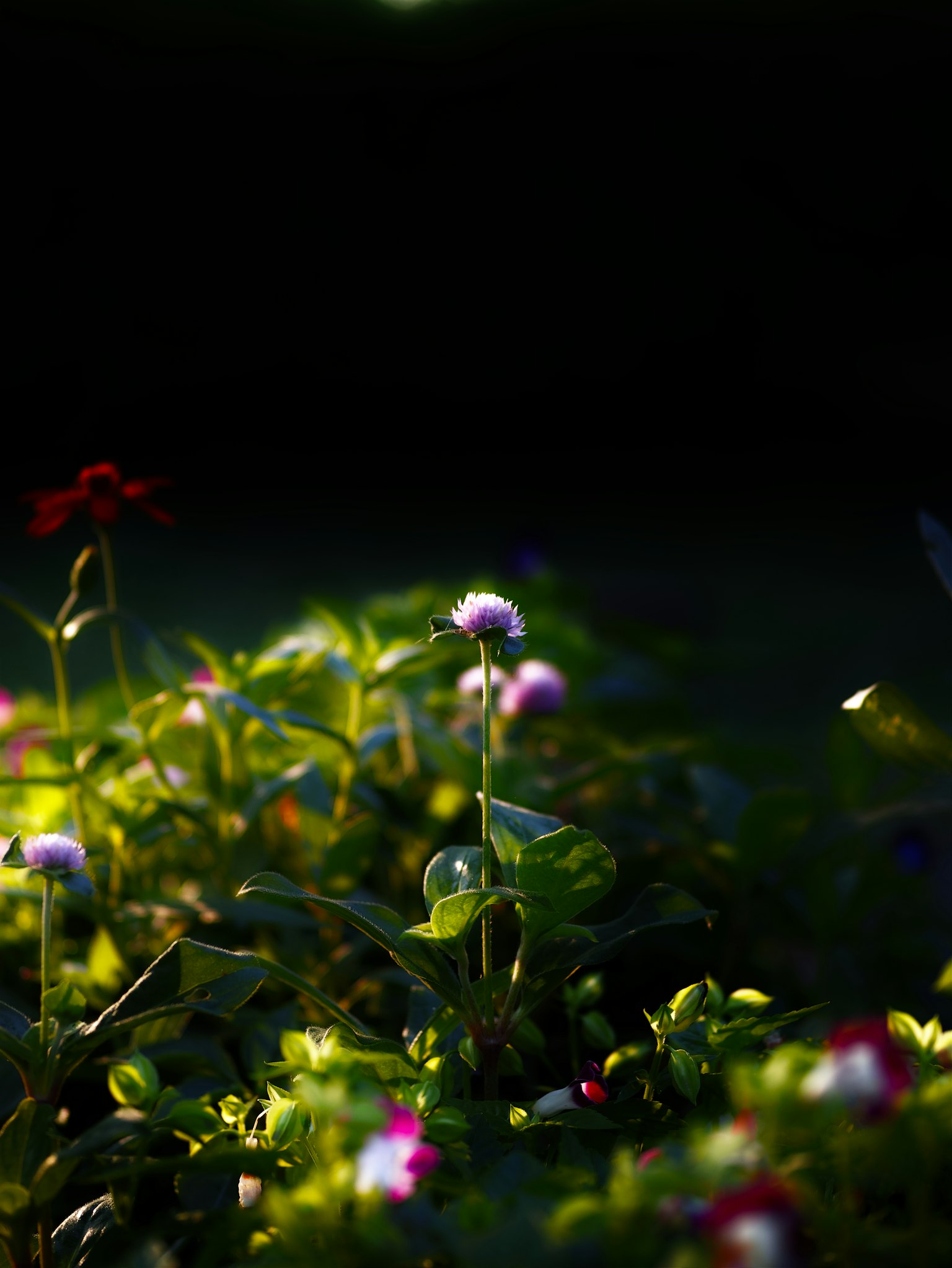 photo-dnaeA74A5vMjO89scU0P-image