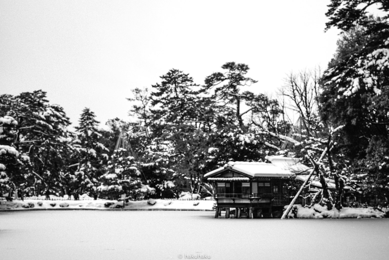 黑白照片，雪覆蓋的池塘和周圍的樹木及一座建築