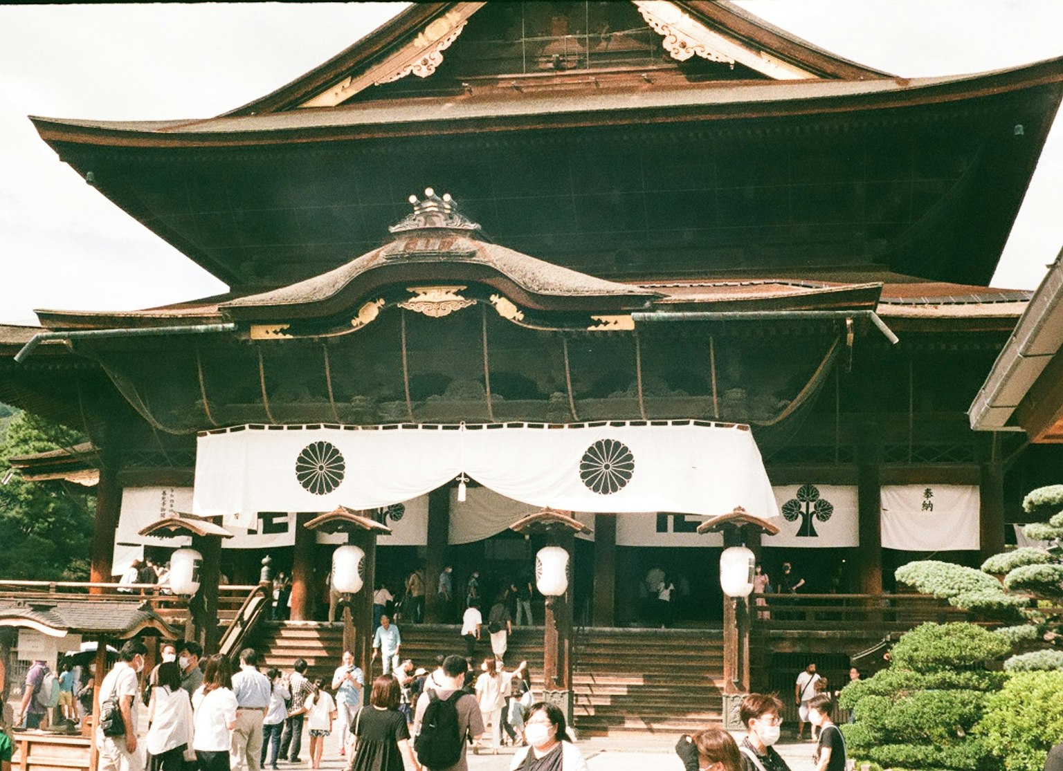 Crowd of visitors in front of a traditional Japanese temple