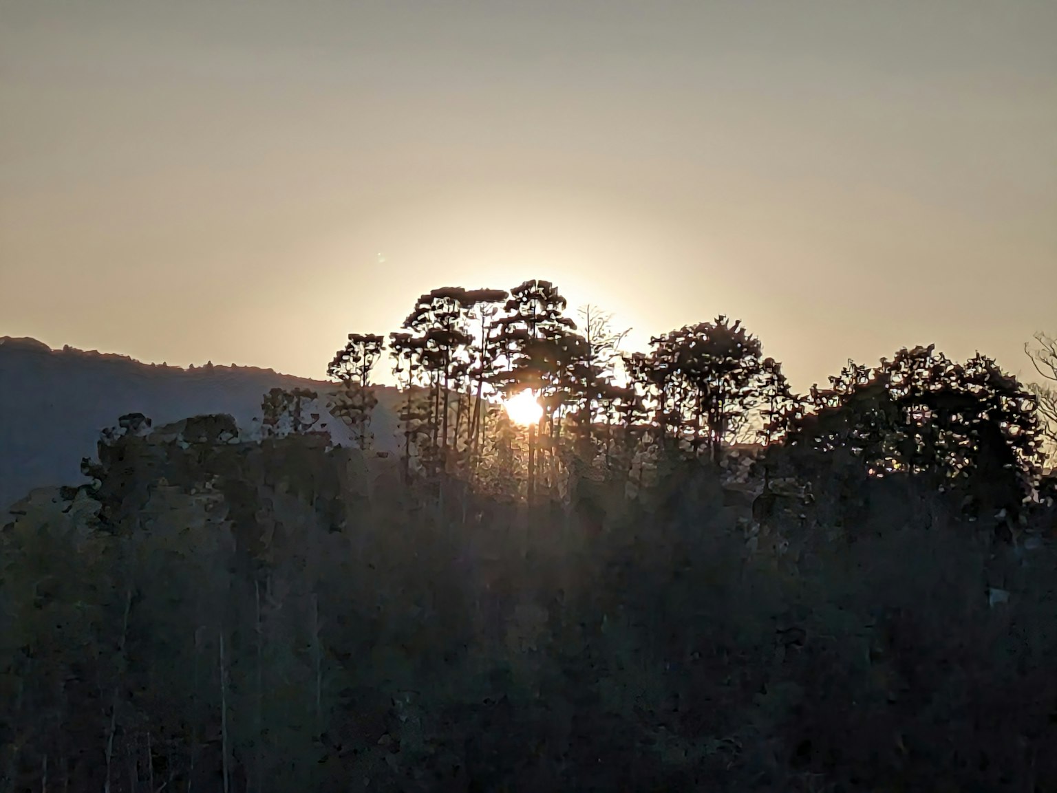 Tramonto dietro gli alberi con silhouette e montagne