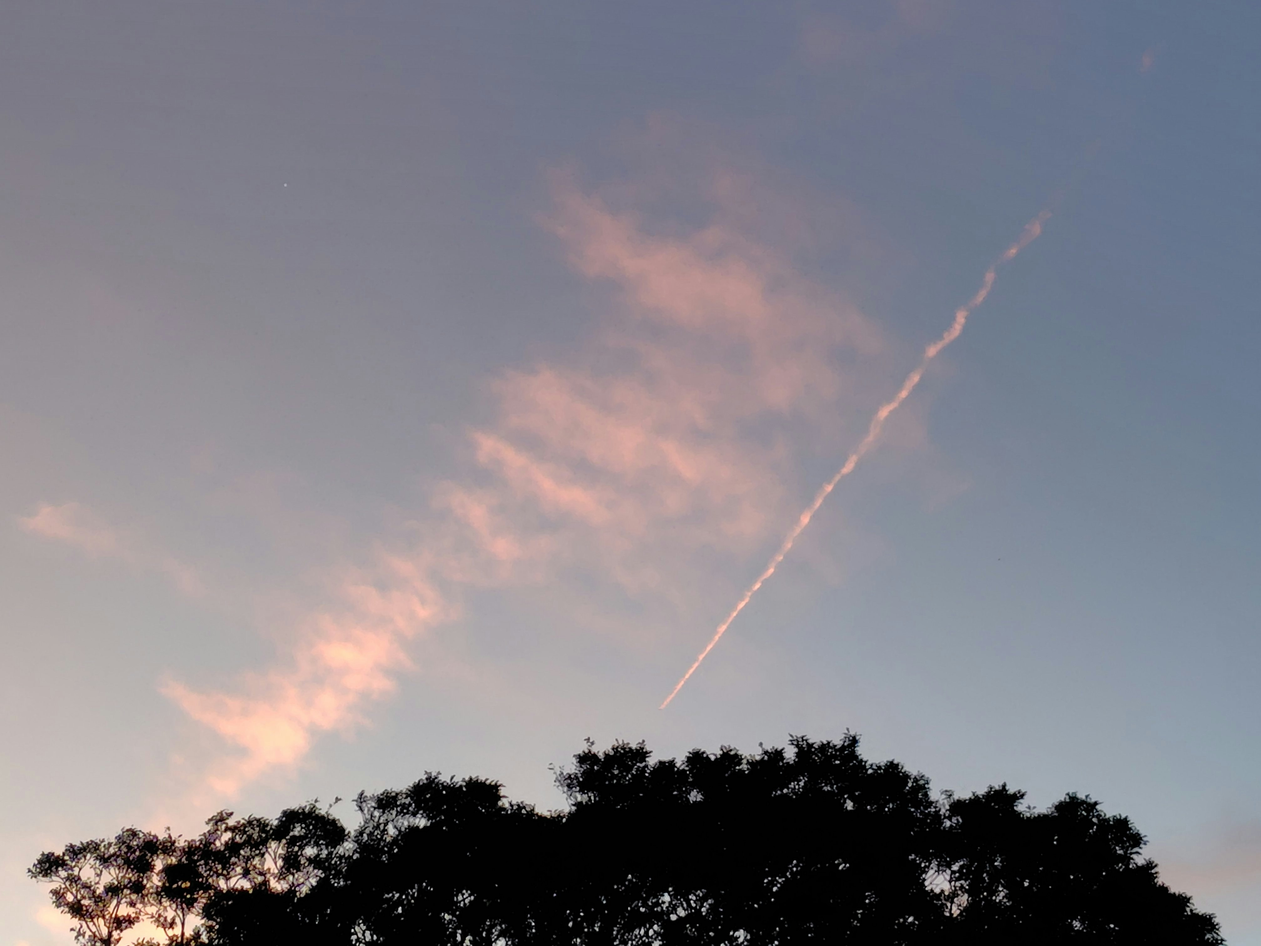 夕焼け空に伸びる飛行機雲と木々のシルエット