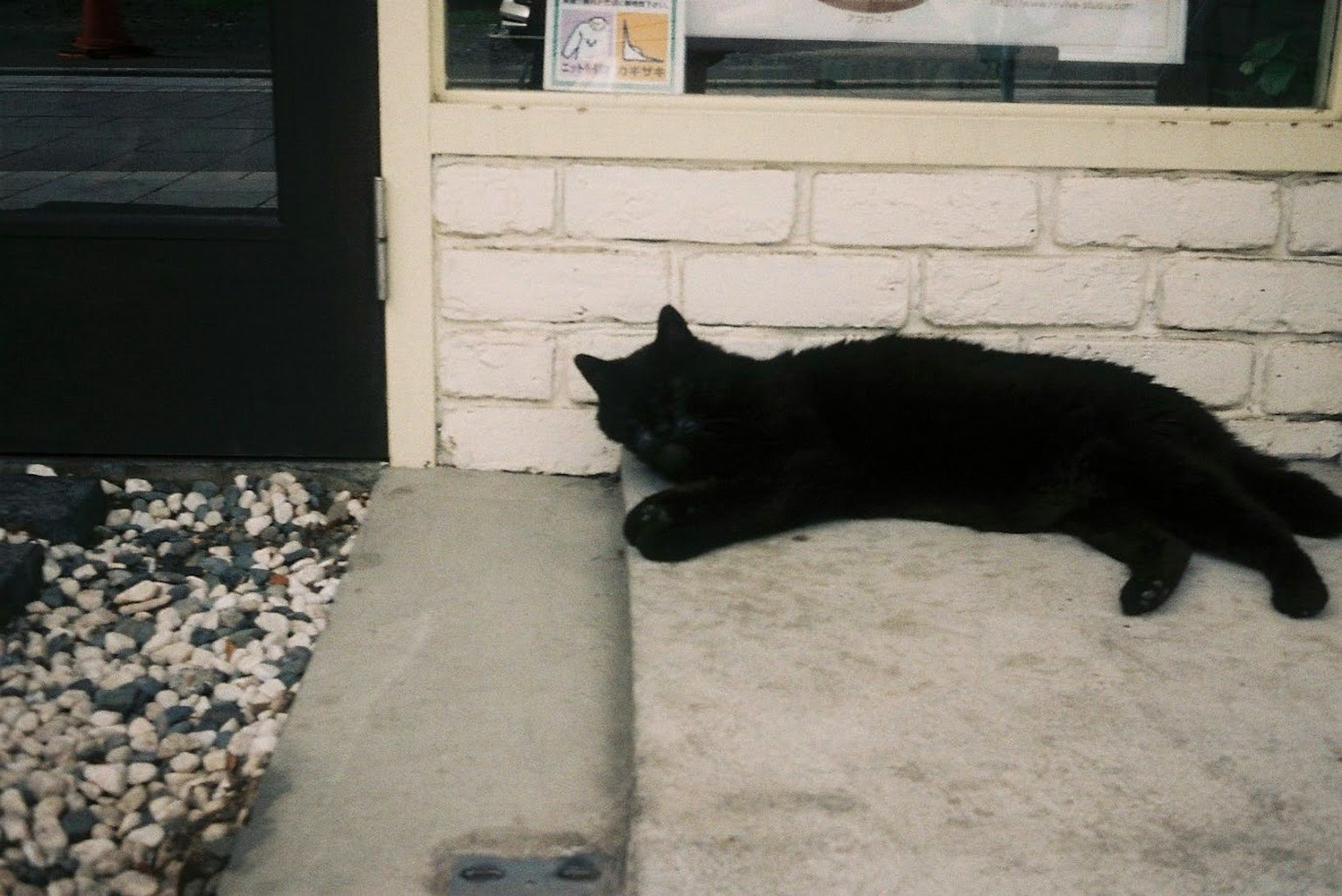 Un gatto nero sdraiato davanti all'ingresso di un negozio