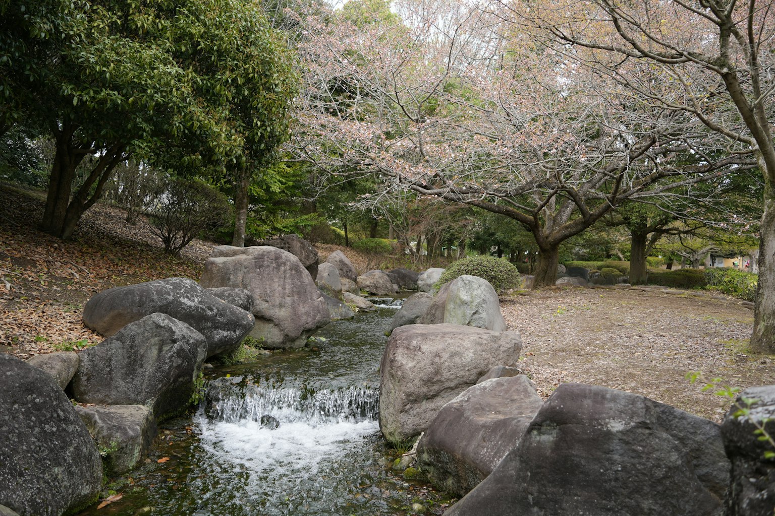 Tranquil park scene featuring a stream and rocks