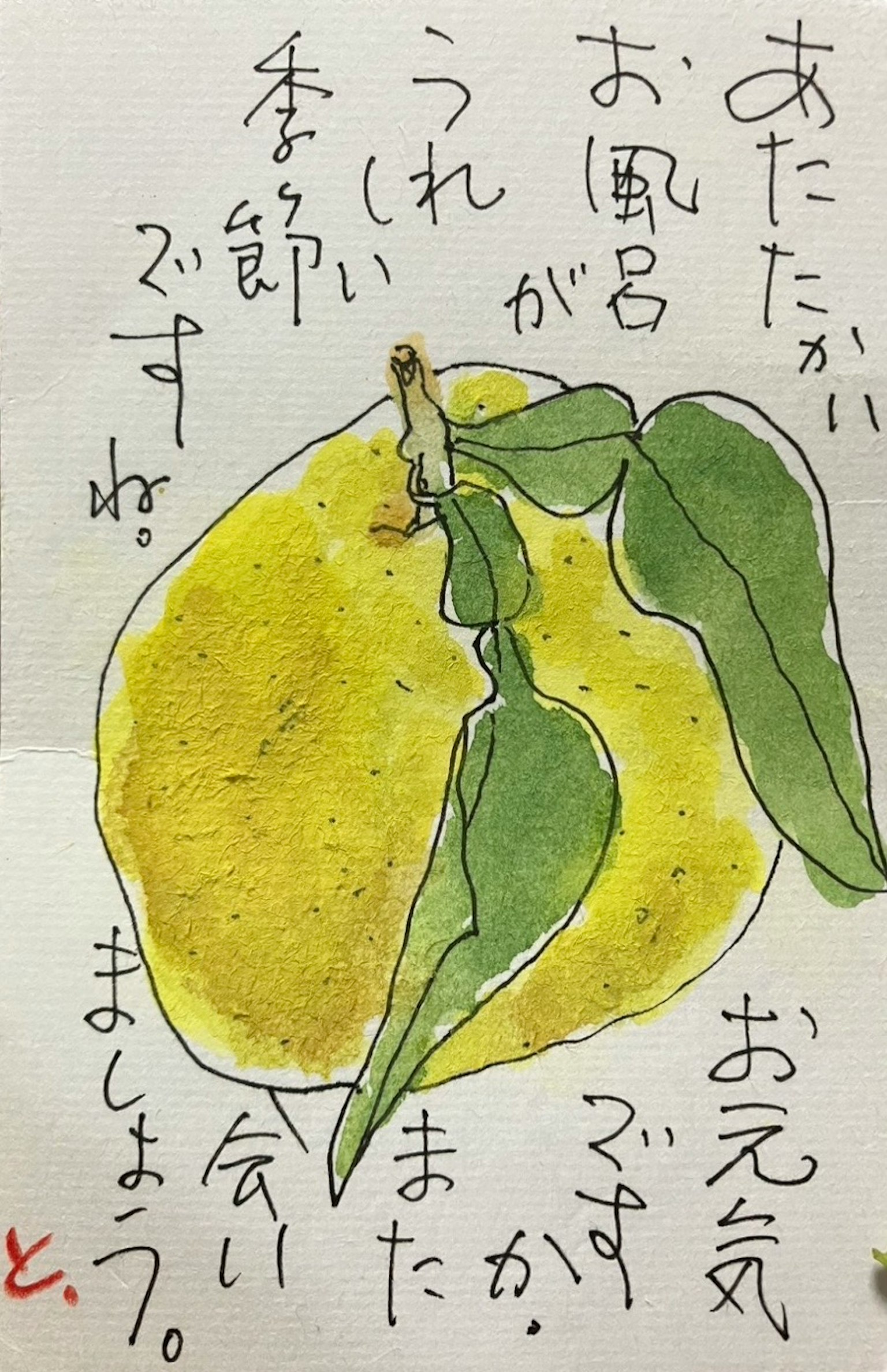 一幅黄色柚子果实和绿色叶子的水彩插图