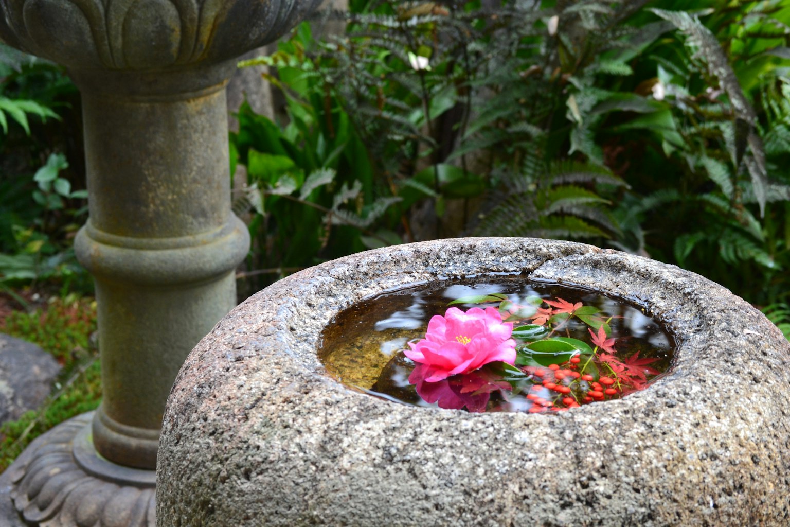 Scène de jardin magnifique avec des fleurs flottant dans une bassine en pierre