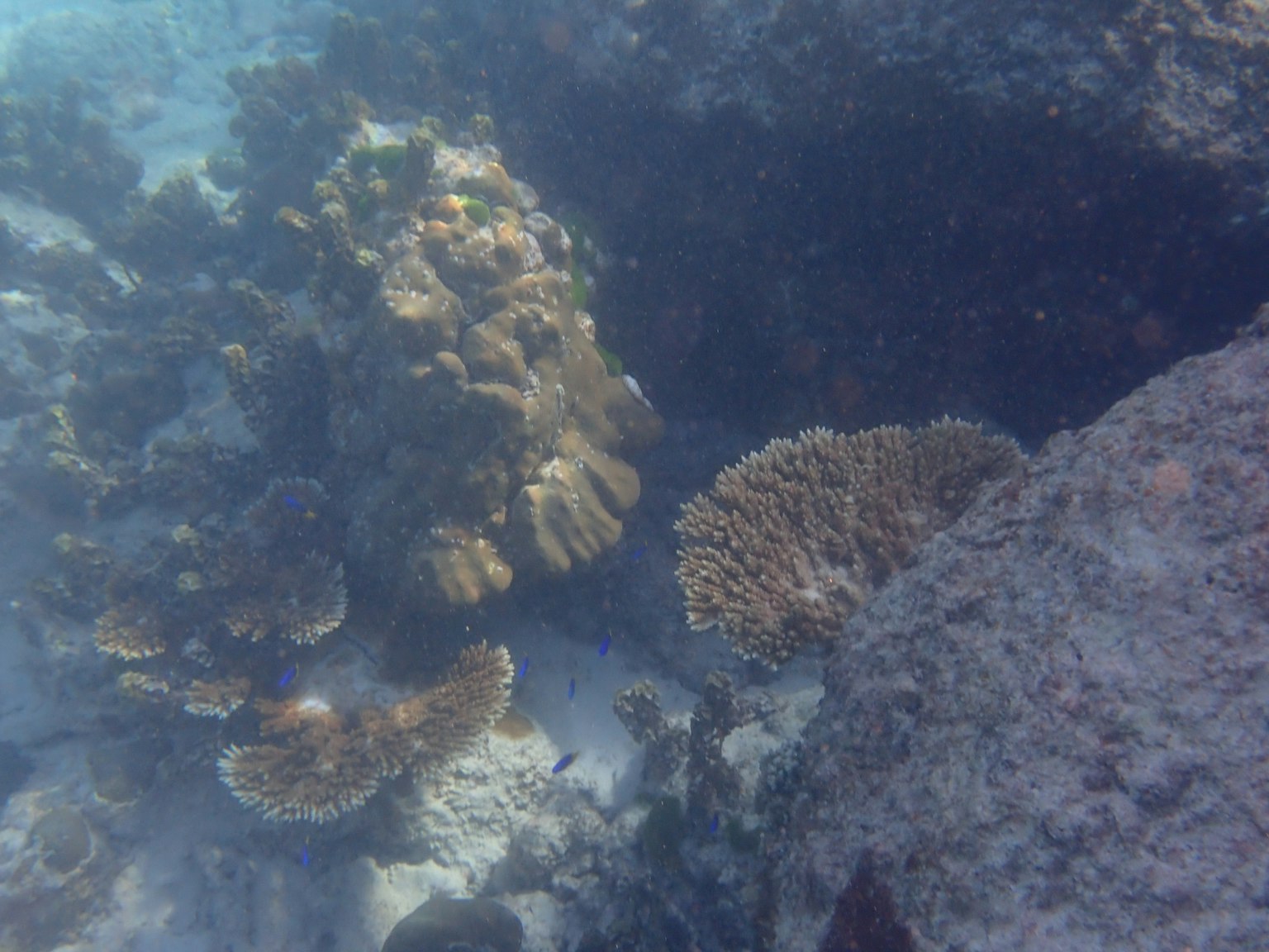Underwater view of coral reefs and rocks