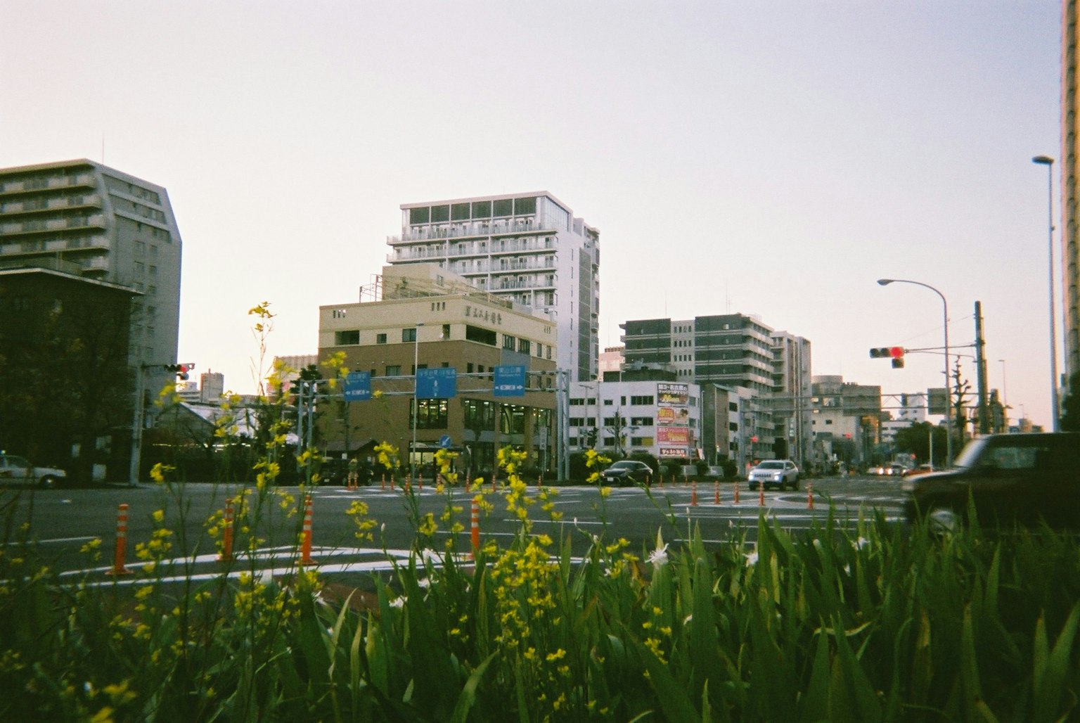 Paisaje urbano con flores y edificios