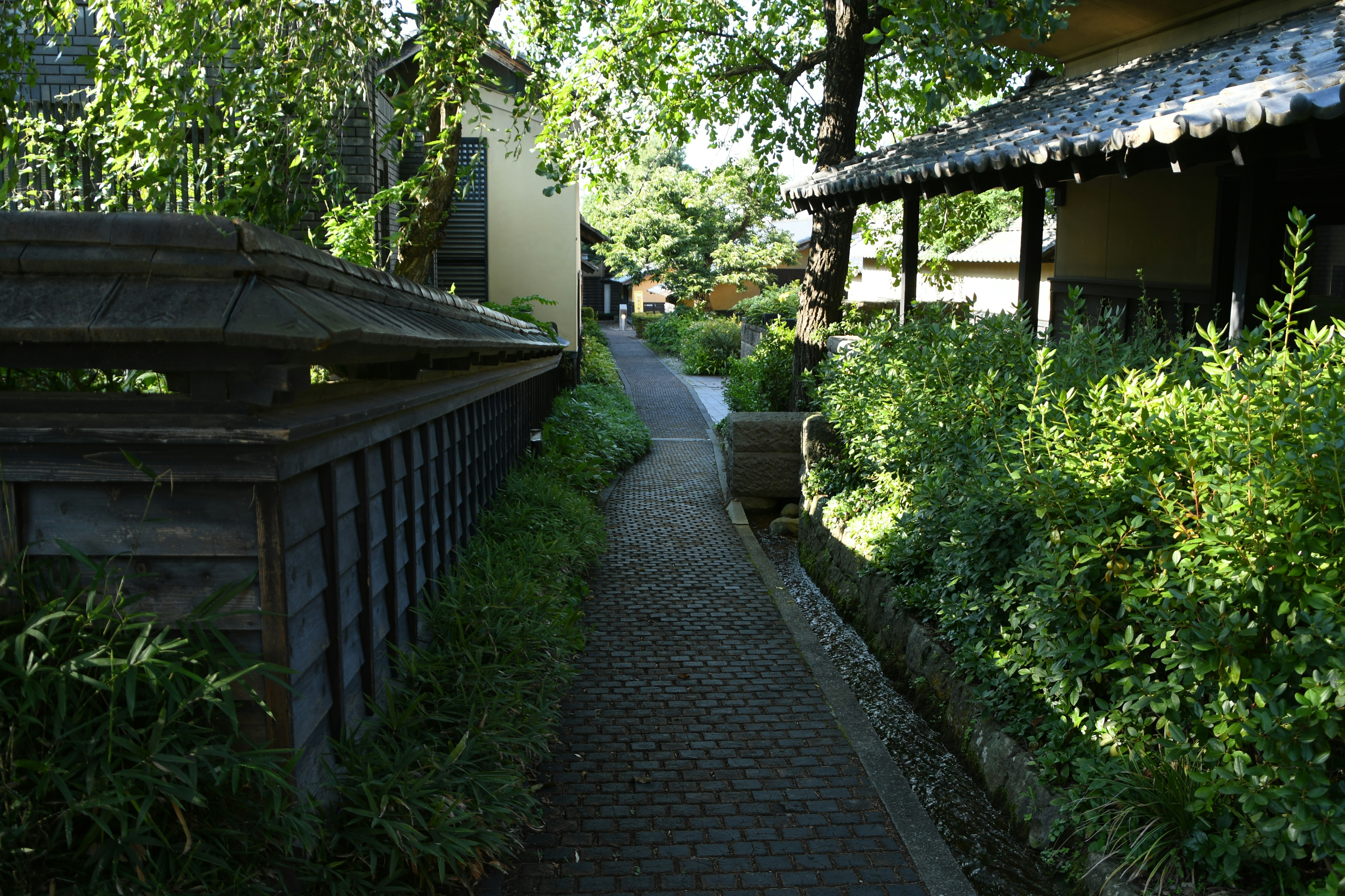 Allée pavée dans un jardin verdoyant avec avant-toits traditionnels