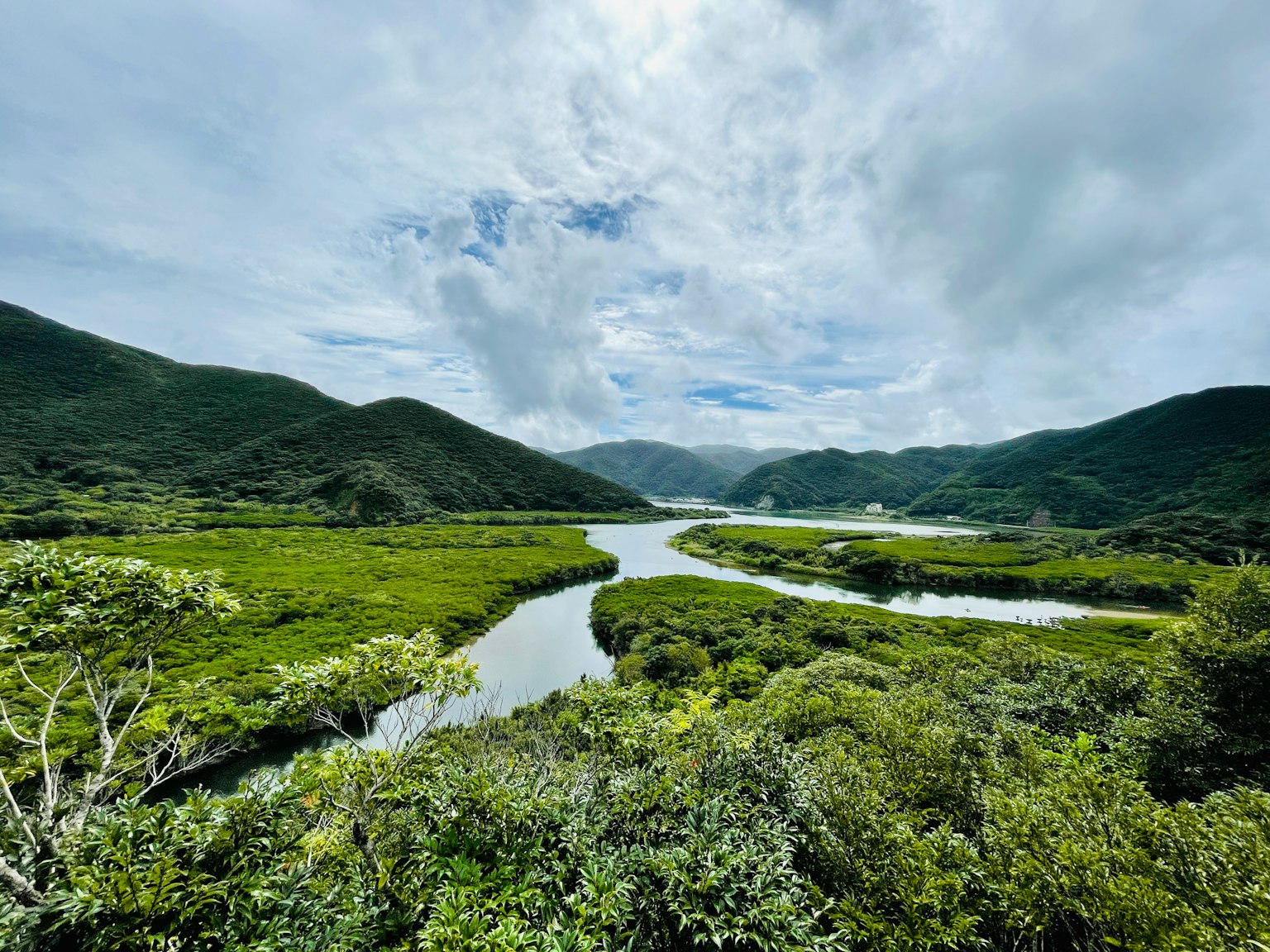 Üppige grüne Landschaft mit einem gewundenen Fluss und Bergen