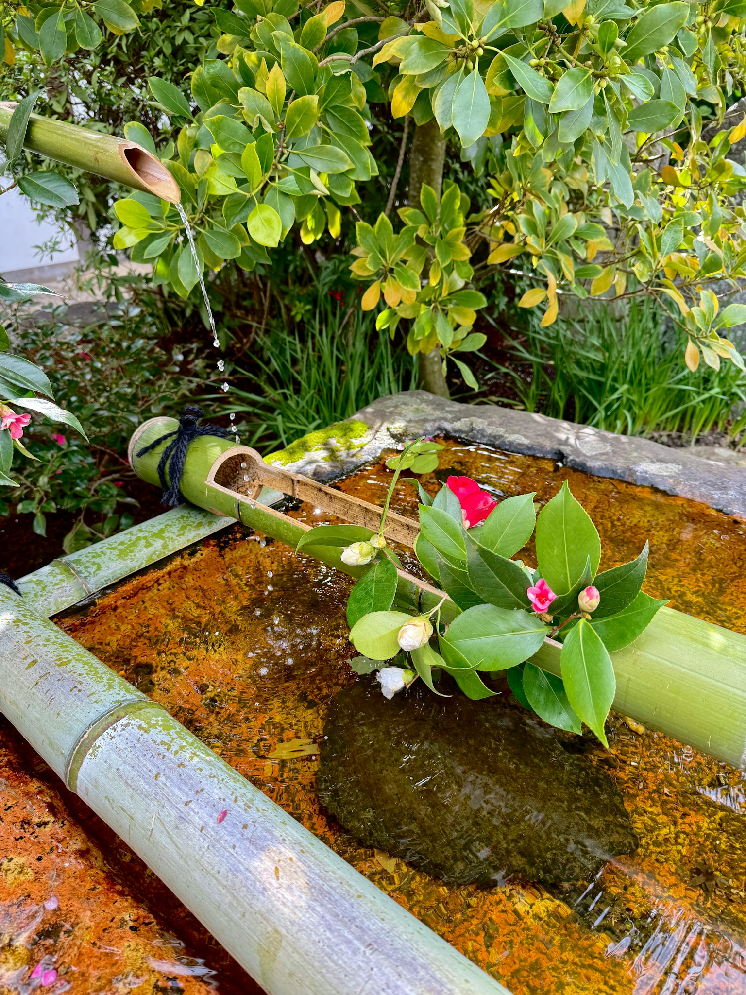 Fontana in bambù con fiori in un giardino tranquillo