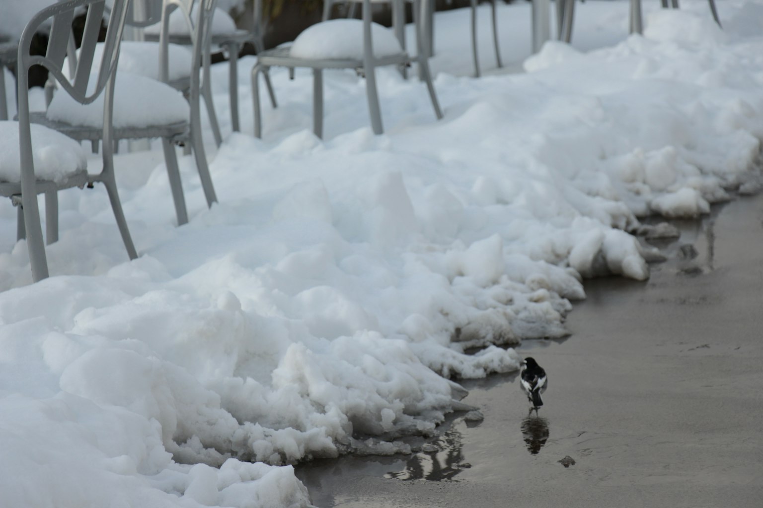 Sillas cubiertas de nieve junto a una acera mojada