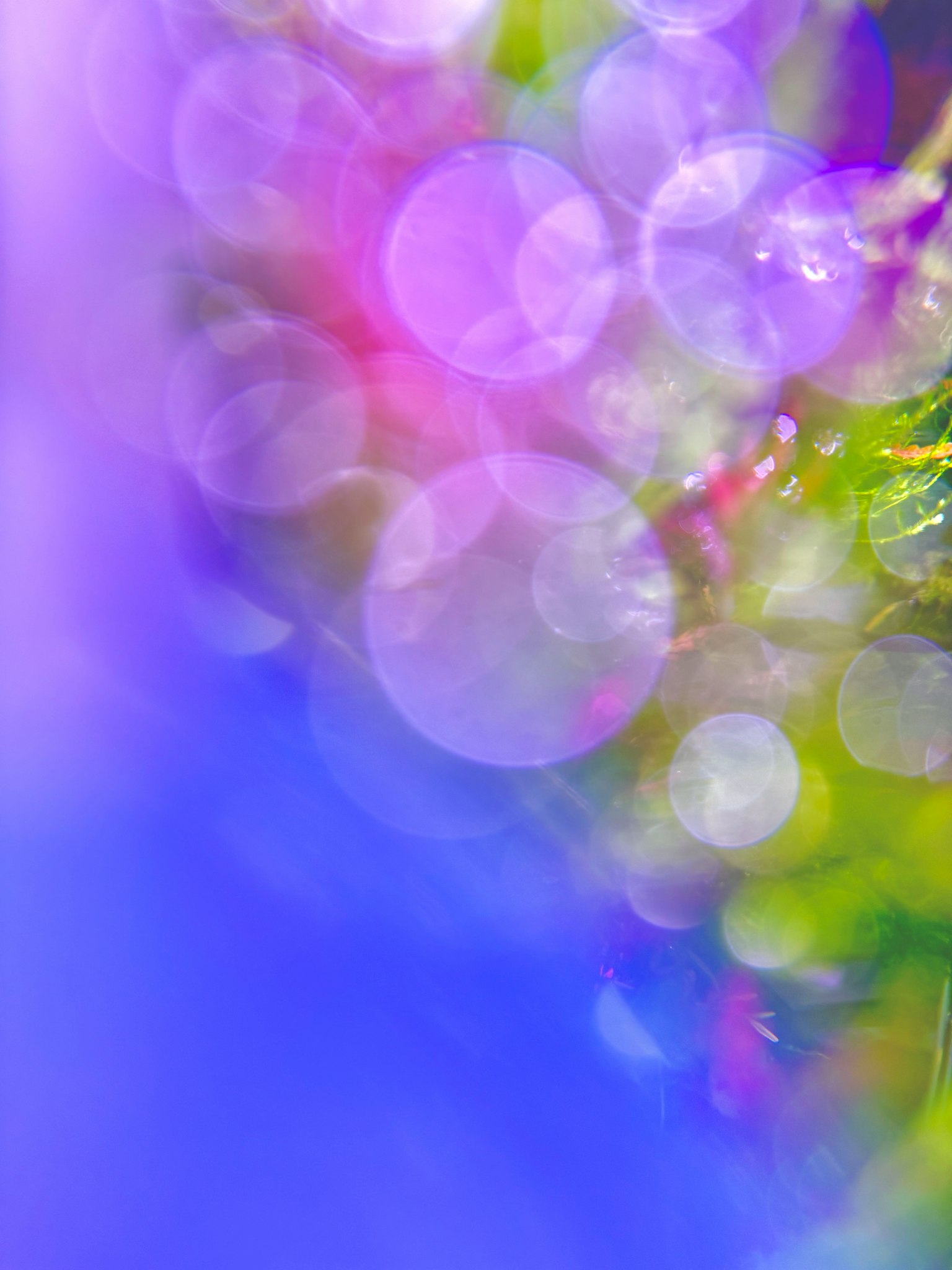 Sfondo astratto con bokeh colorati e cerchi luminosi