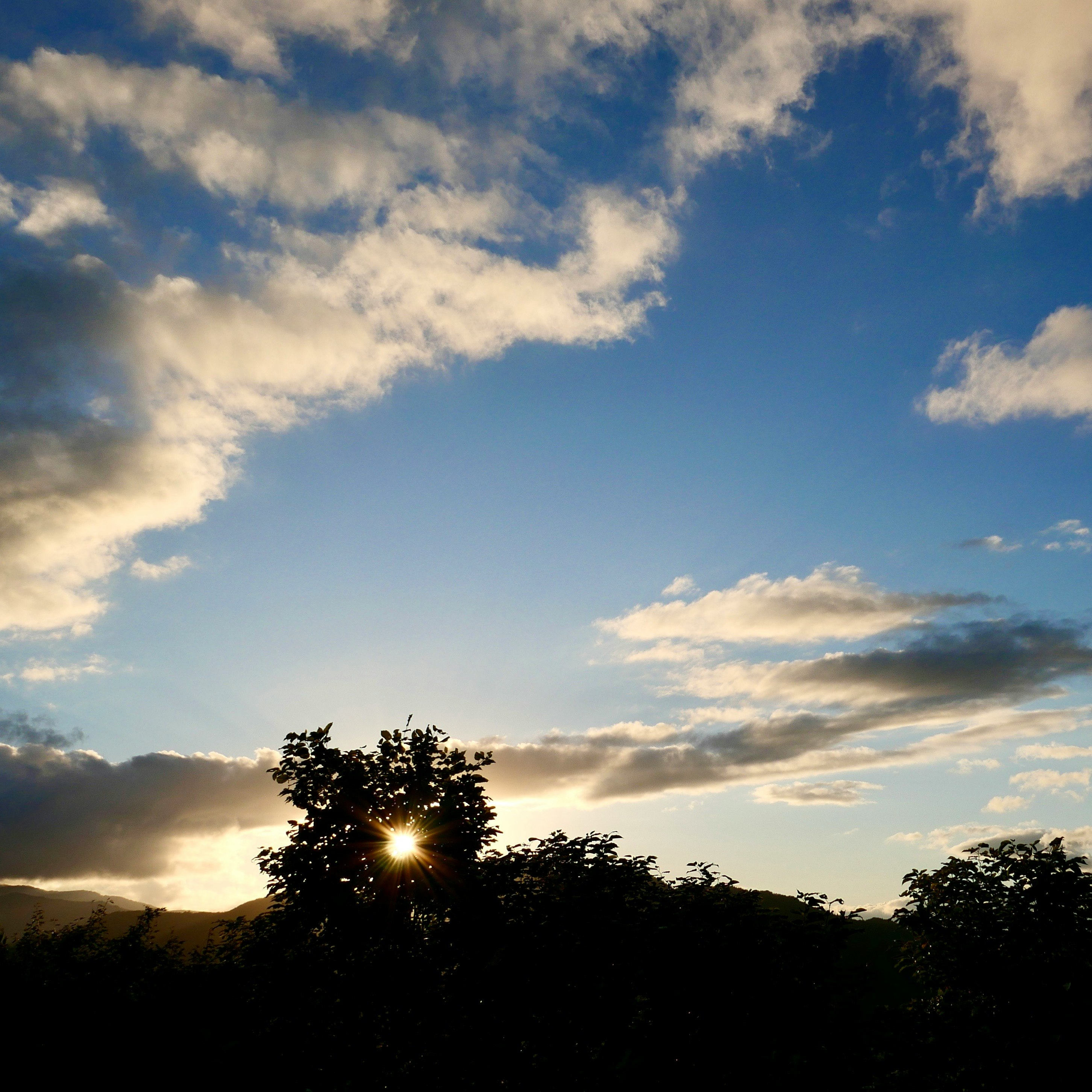 木々のシルエットと雲間から差す夕暮れの光
