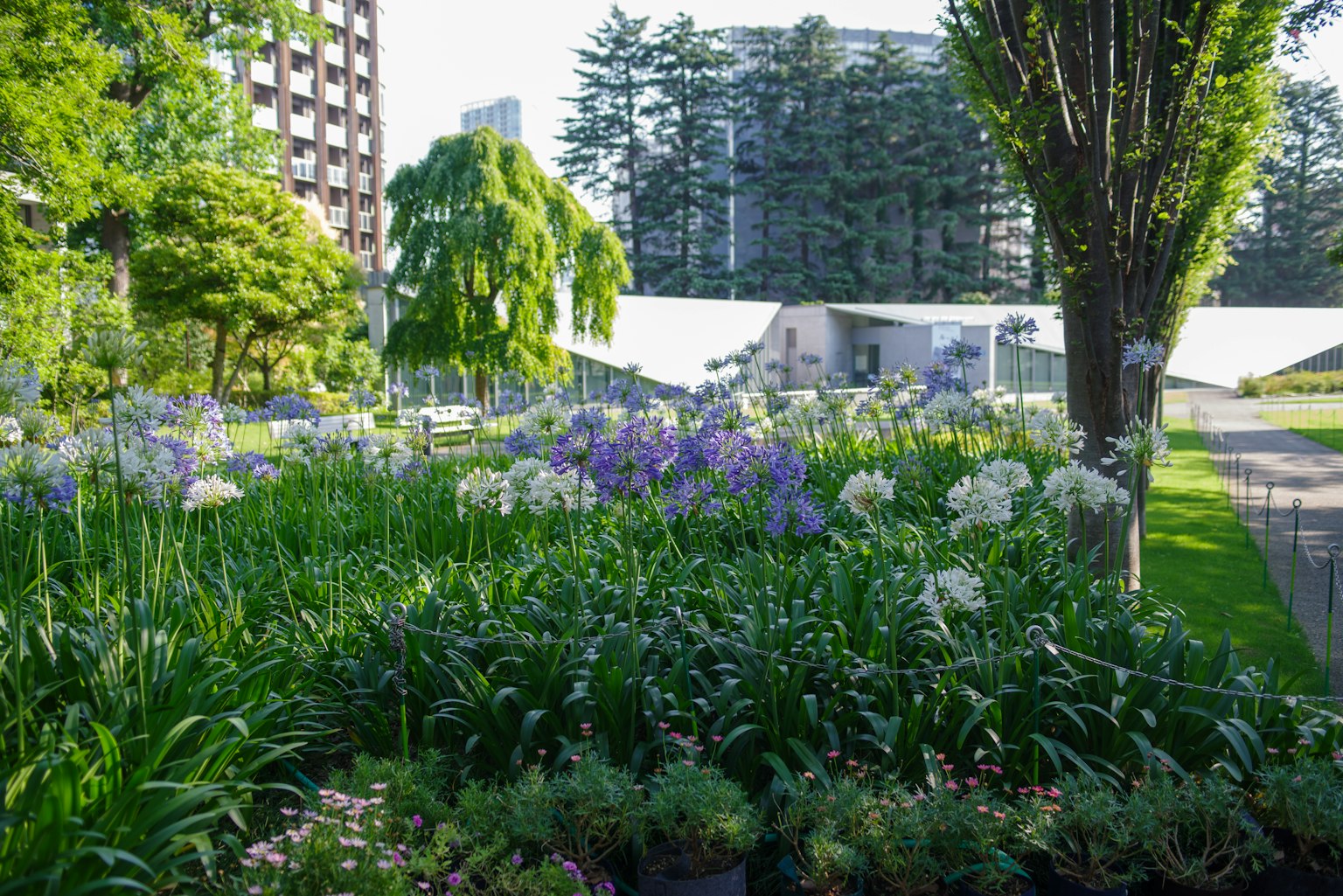 Lush park featuring colorful flowers and tall trees