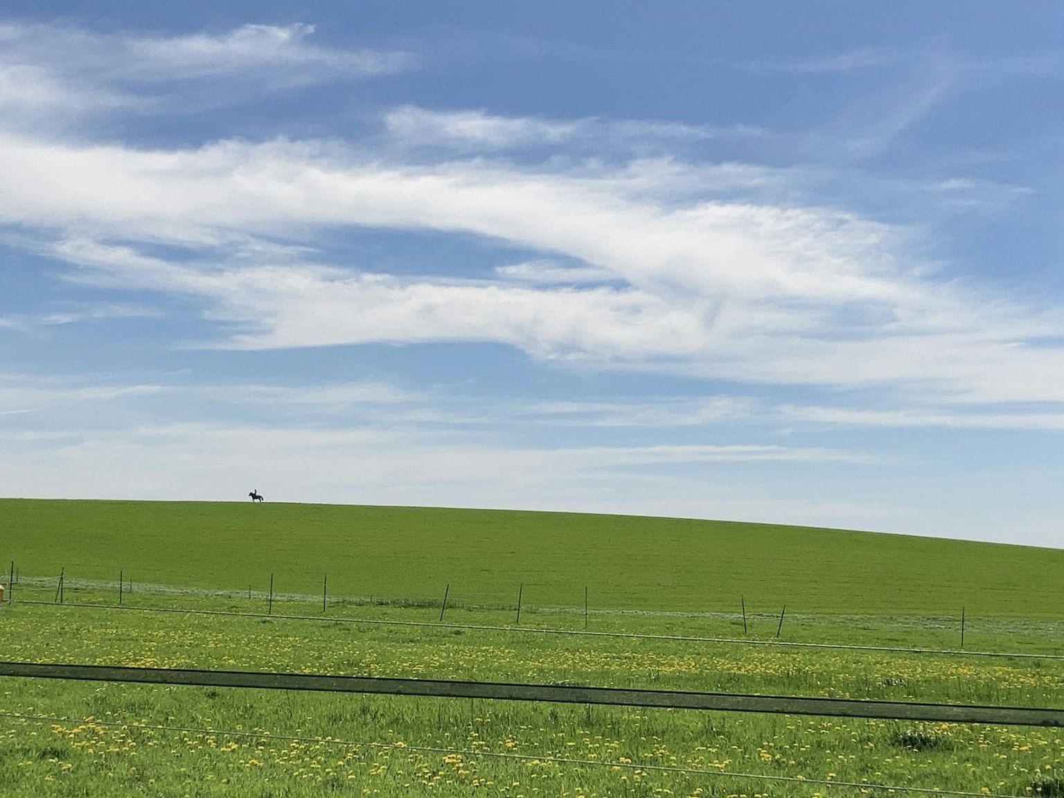 Prato verde esteso sotto un cielo blu con nuvole bianche
