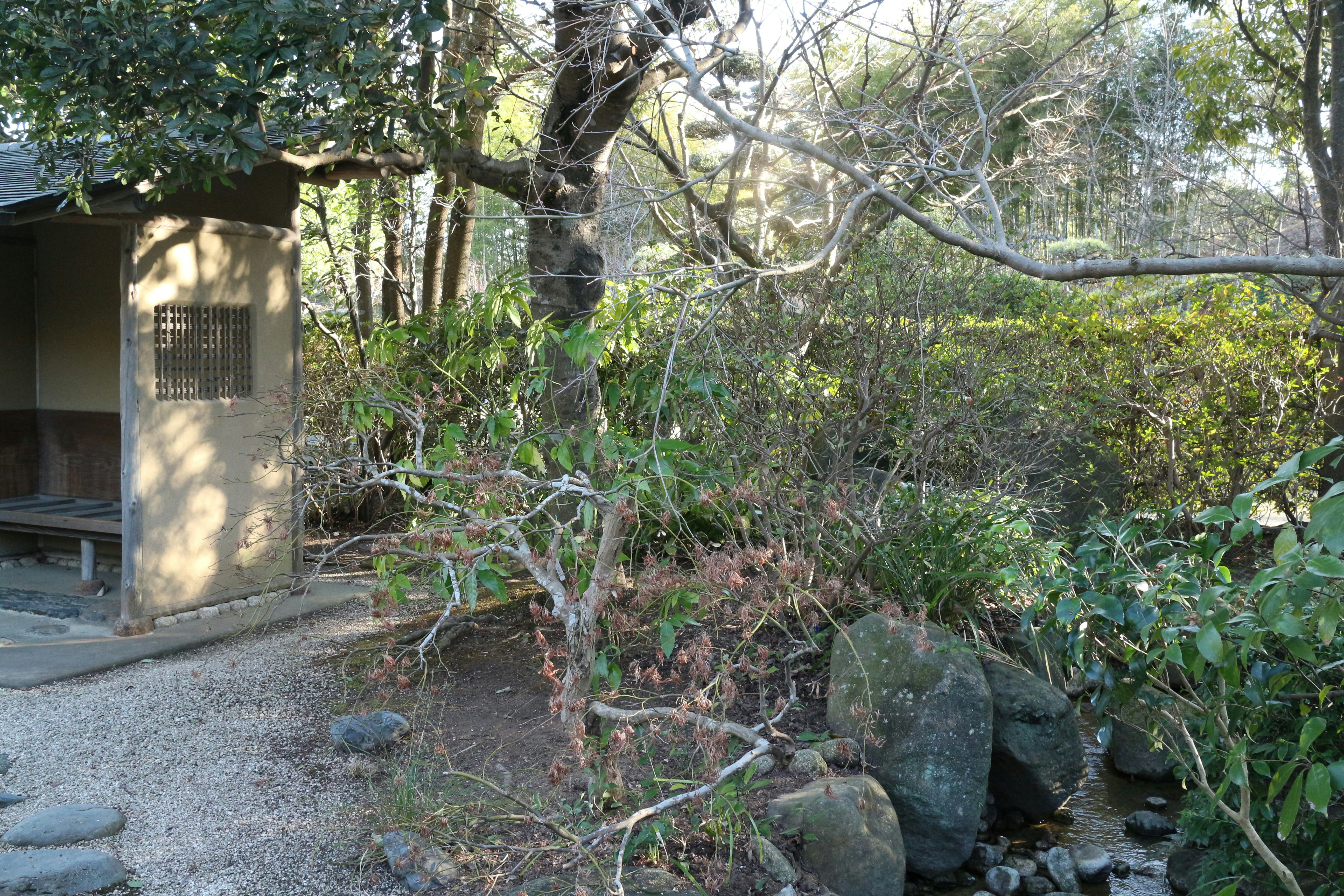 石の小道と茂みのある自然の庭園風景
